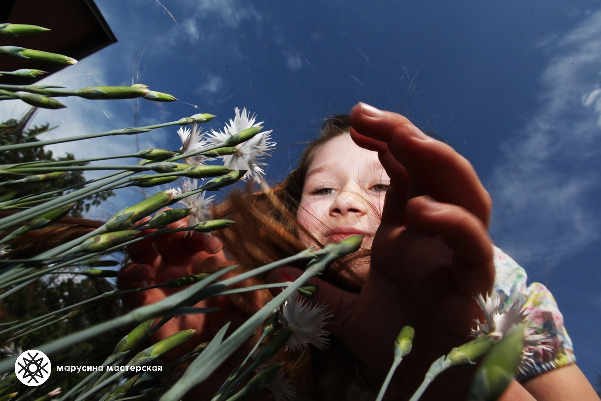 Дарья Бельдинская