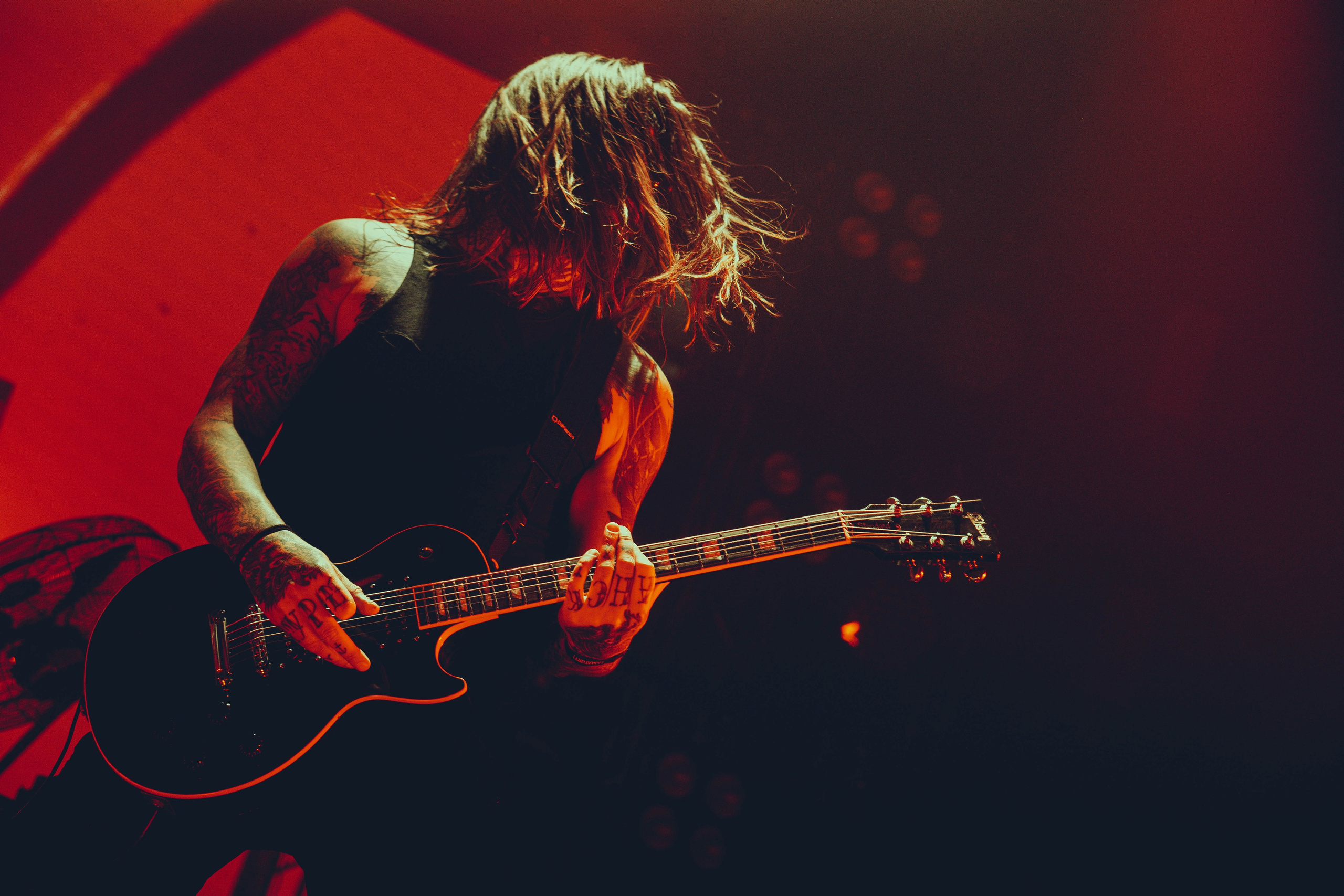 Amatory 22.11.2025. Фотограф Дядя Сник