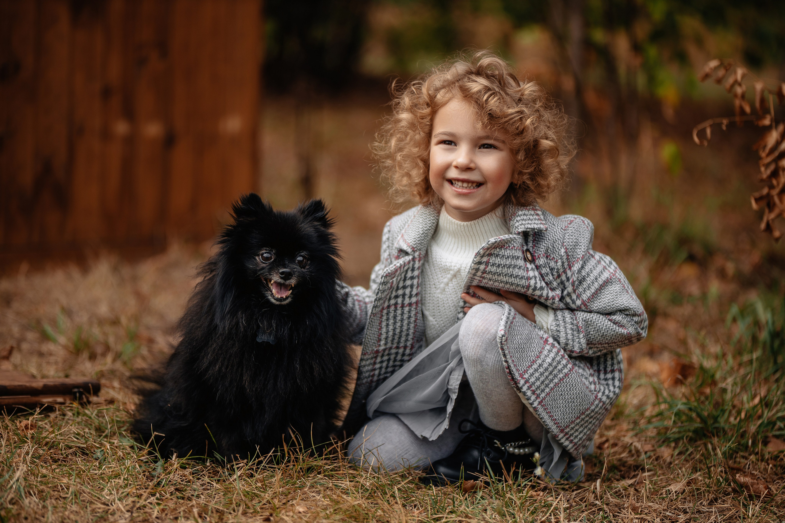 Фотосессия с собаками