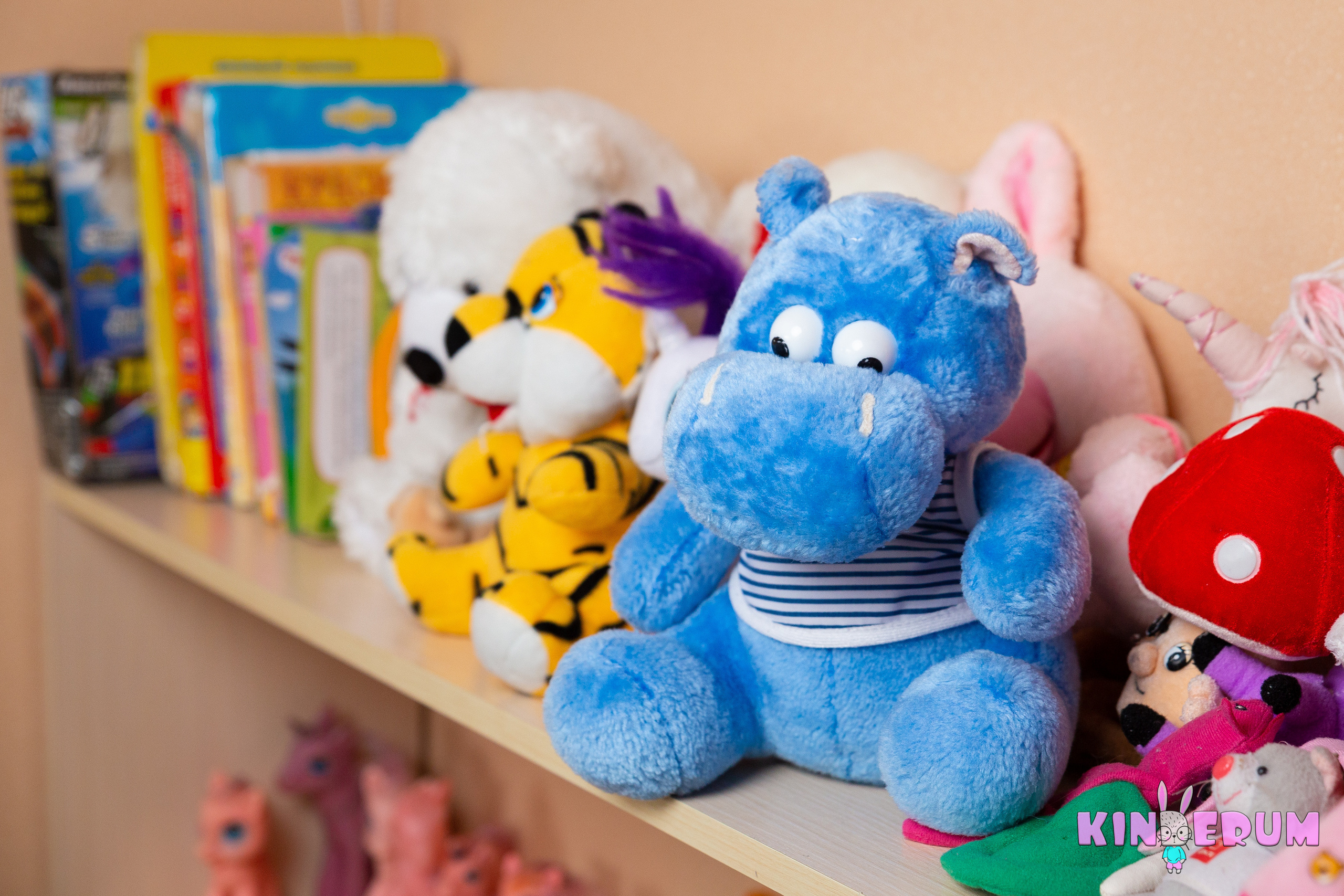 Отзывы. Фотограф Комаров Сергей