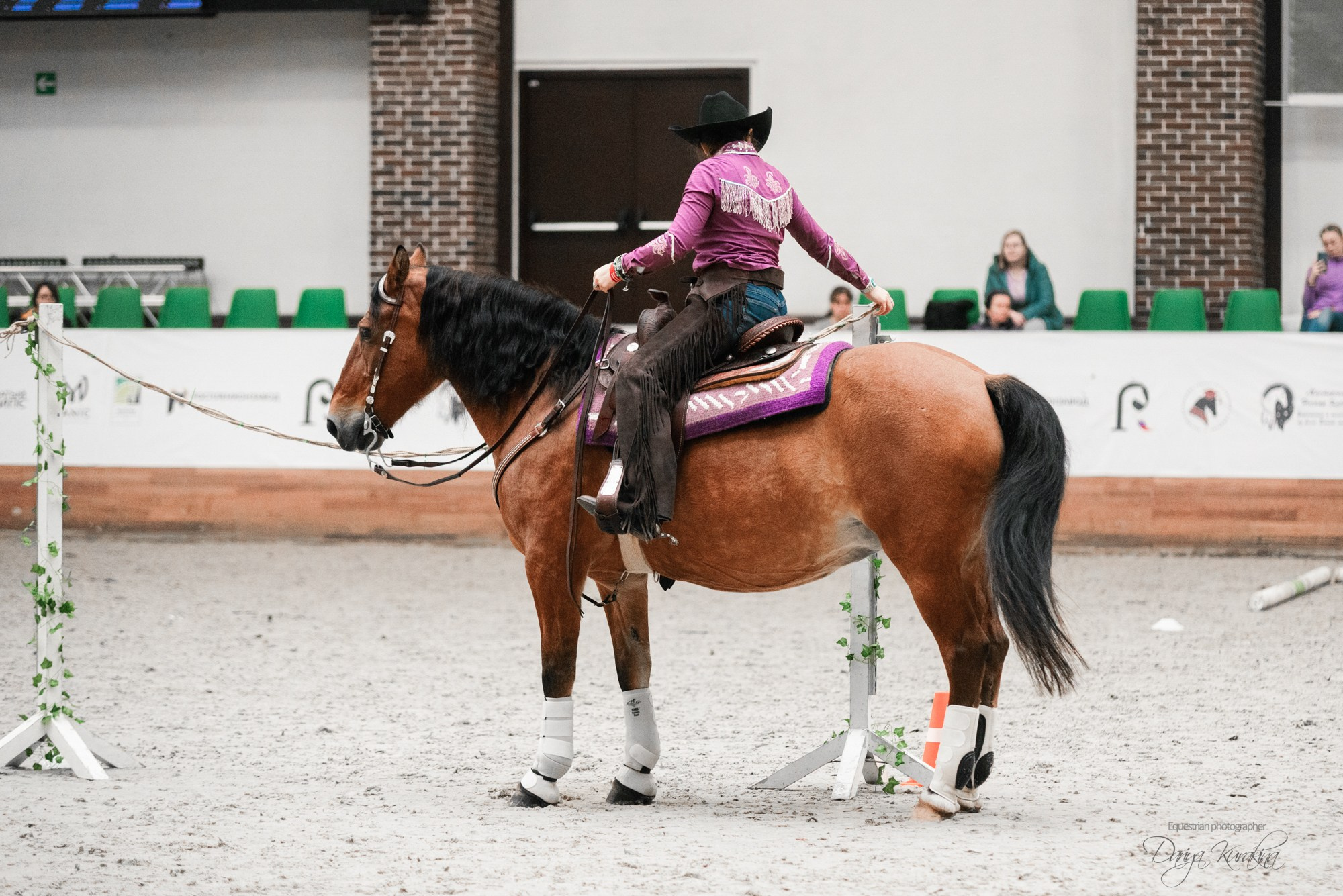 8-я международная выставка Конная Россия. Конный фотограф Куракина Дарья • Фотосессии с лошадьми