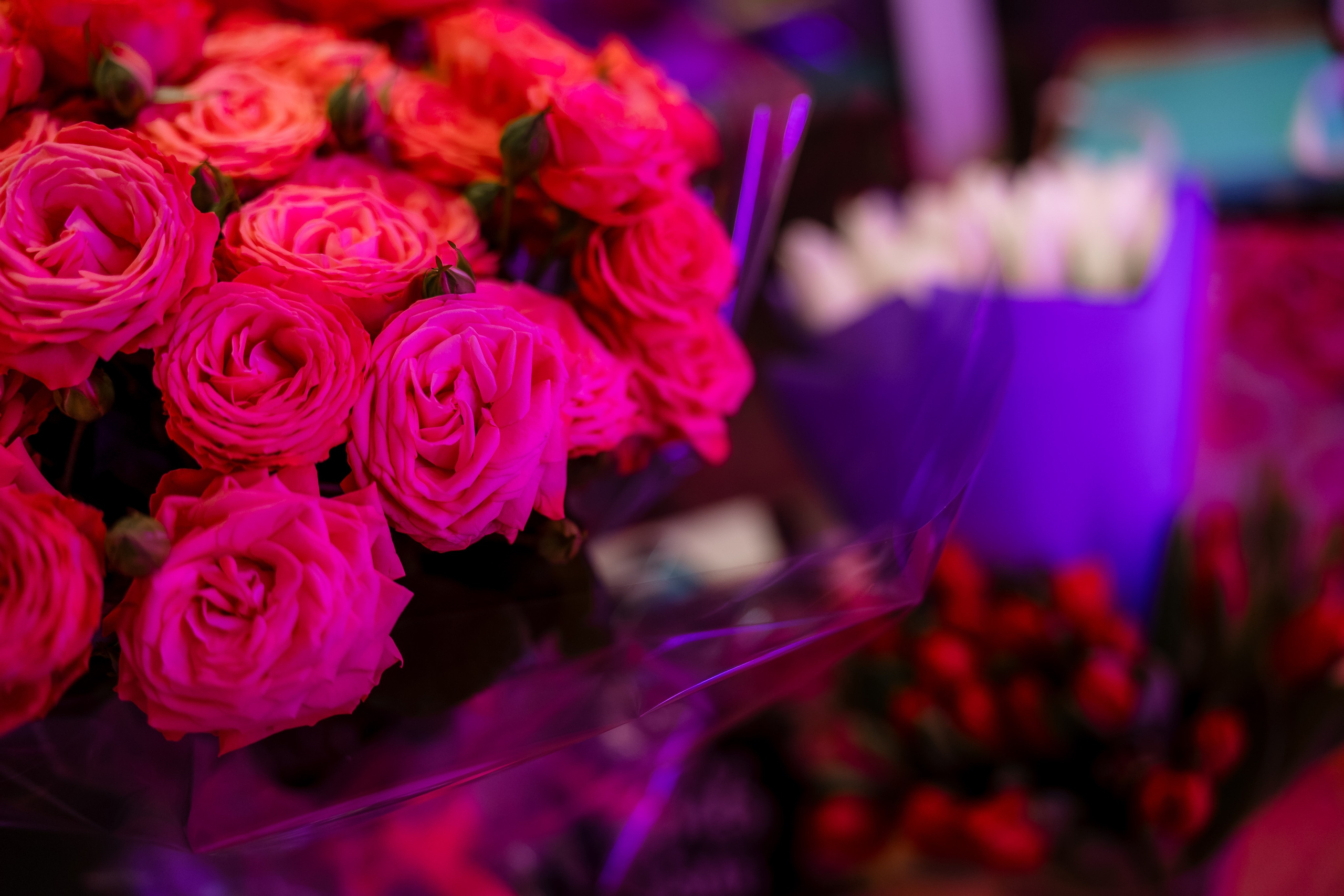 День рождения в стиле Барби