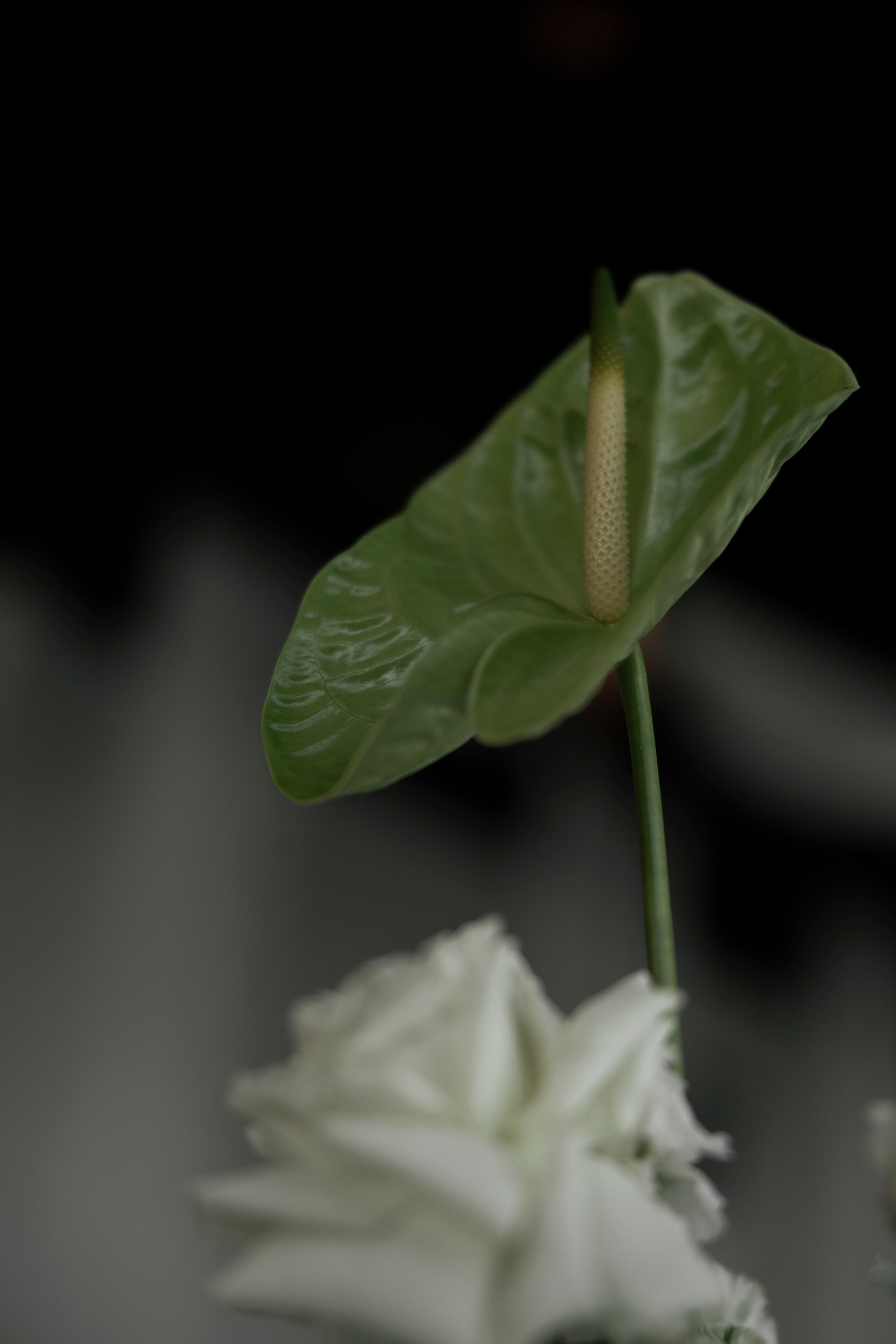 БОРИС И ВАЛЕРИЯ. Свадебный Фотограф Максим Пустовой