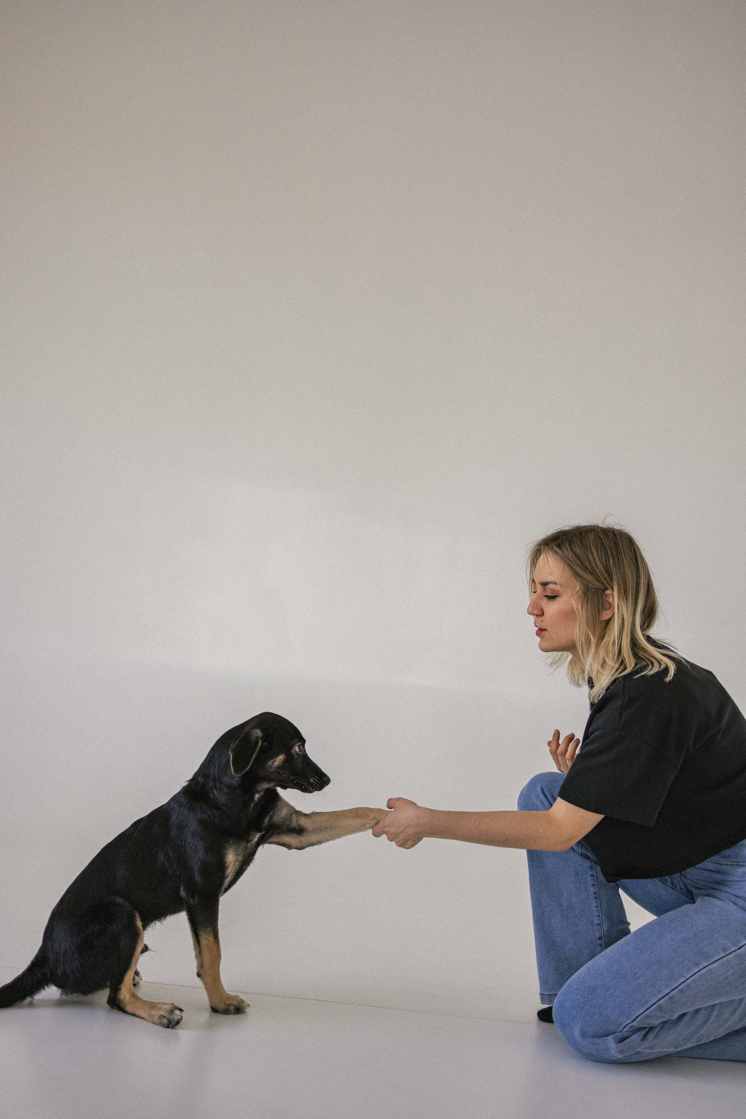 Крис и Тэдди. Фотограф-анималист в Москве Лера Черноног