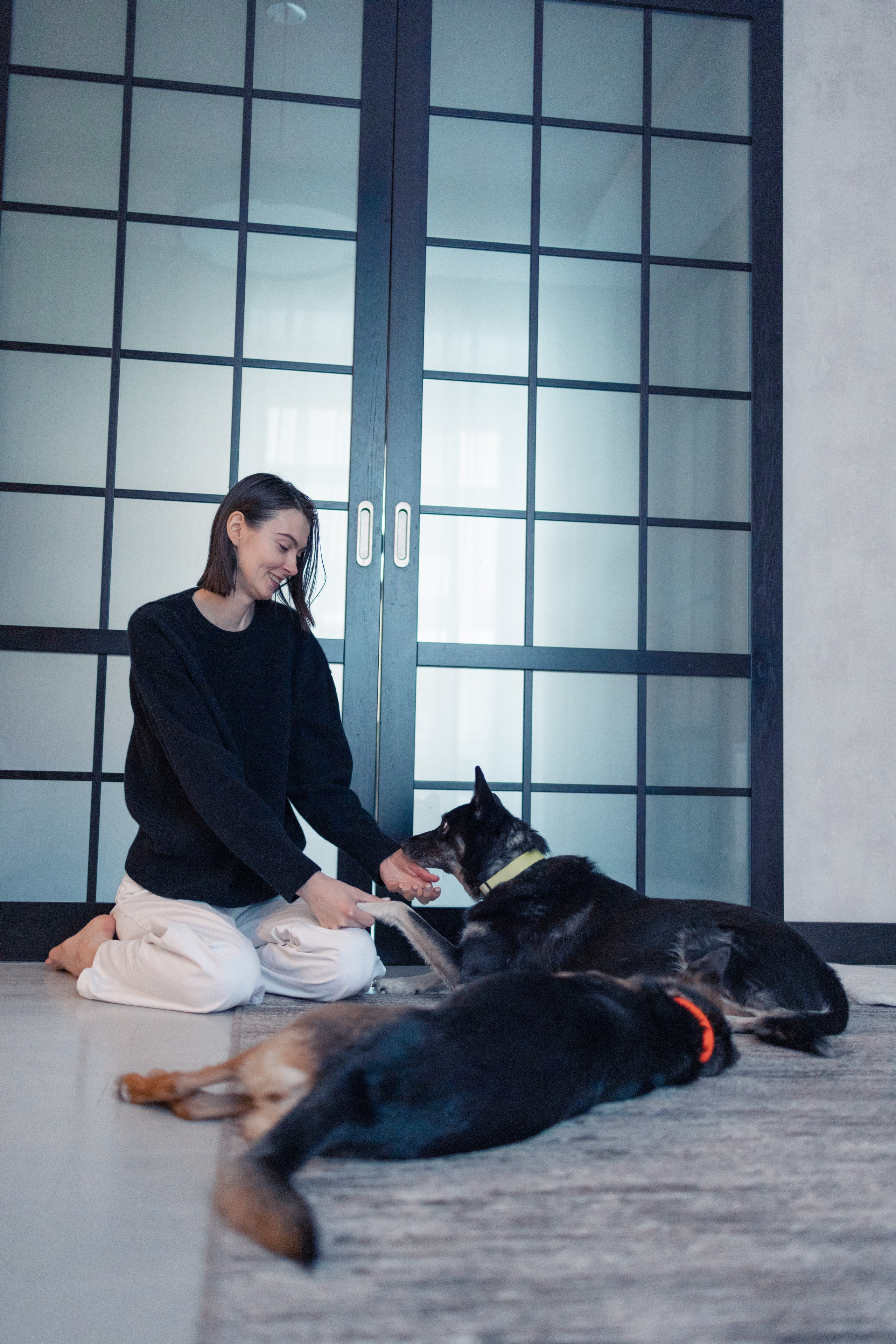 Ника, Матиша и Герда. Фотограф-анималист в Москве Лера Черноног