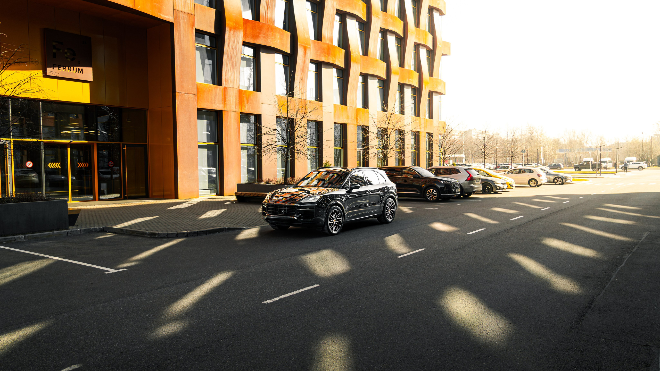 Porsche Cayenne. Valya Fleks