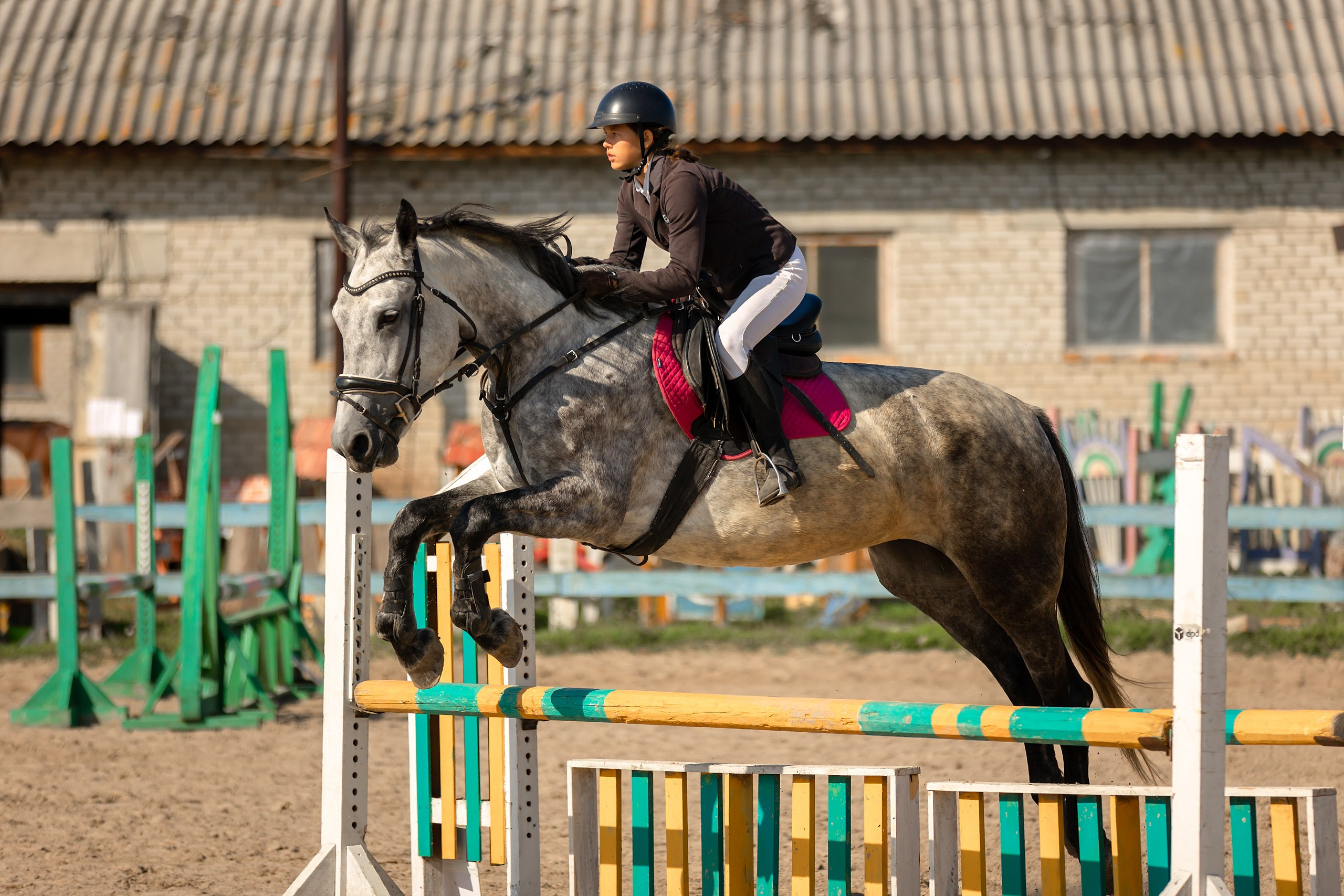 Соревнования по конному спорту. Конный фотограф Валынкина Лера