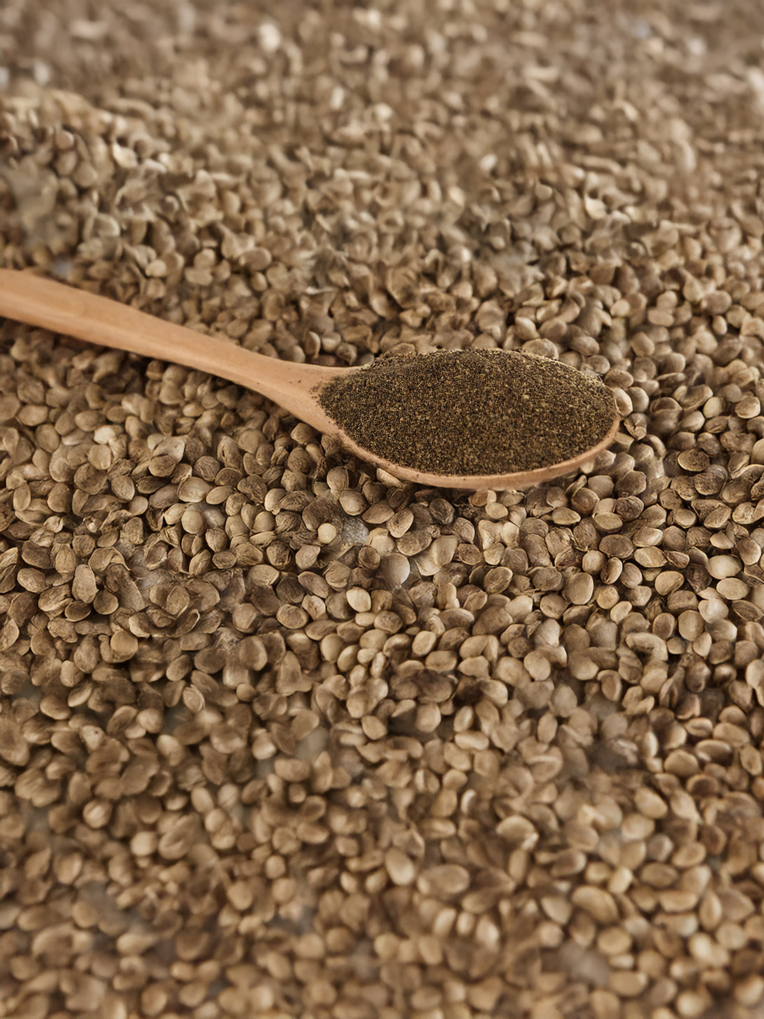 Клетчатка. Концептуальный фотограф Шлыкова Ольга