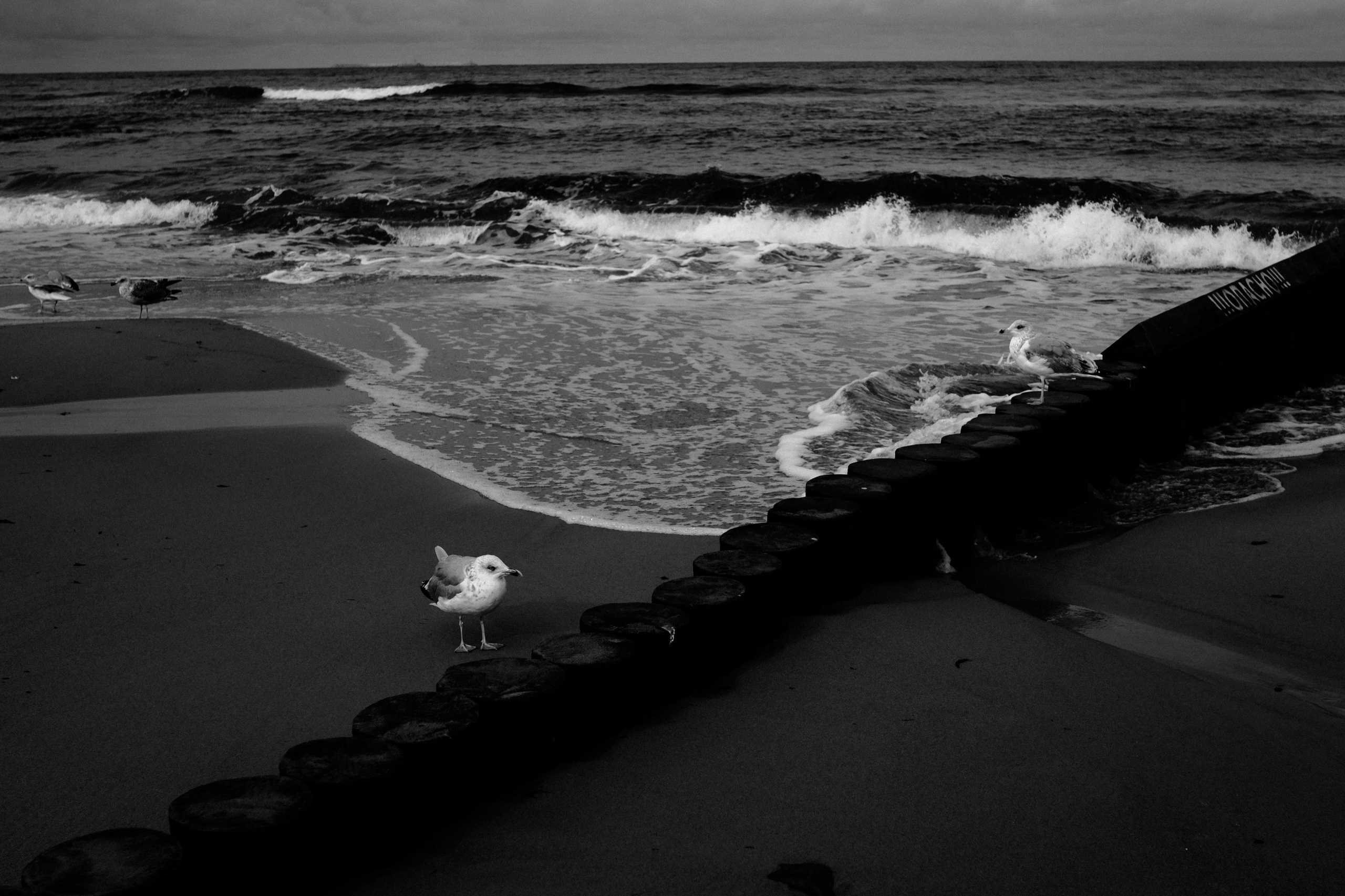 Калининград. Портретный фотограф DanilNabody