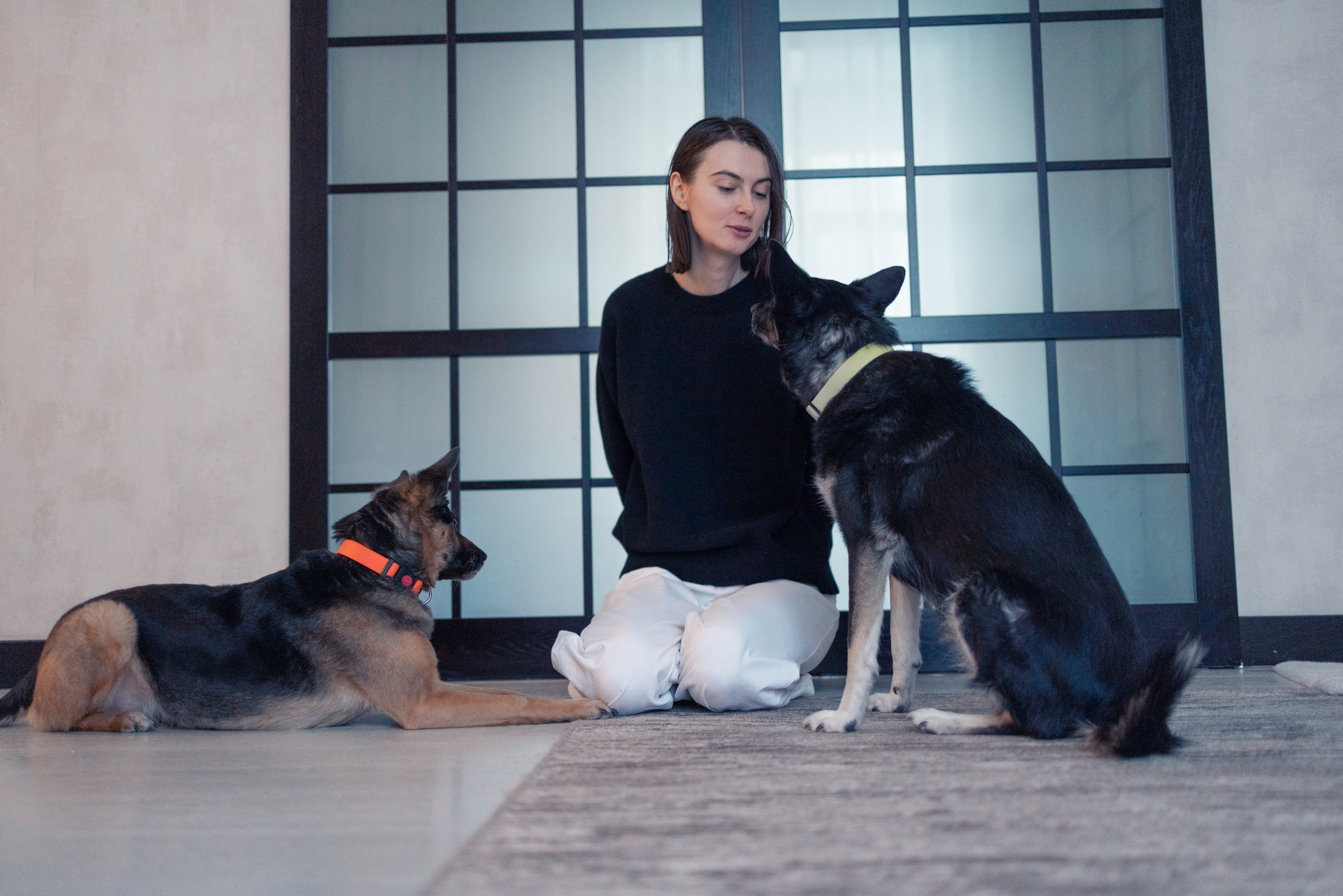 Ника, Матиша и Герда. Фотограф-анималист в Москве Лера Черноног