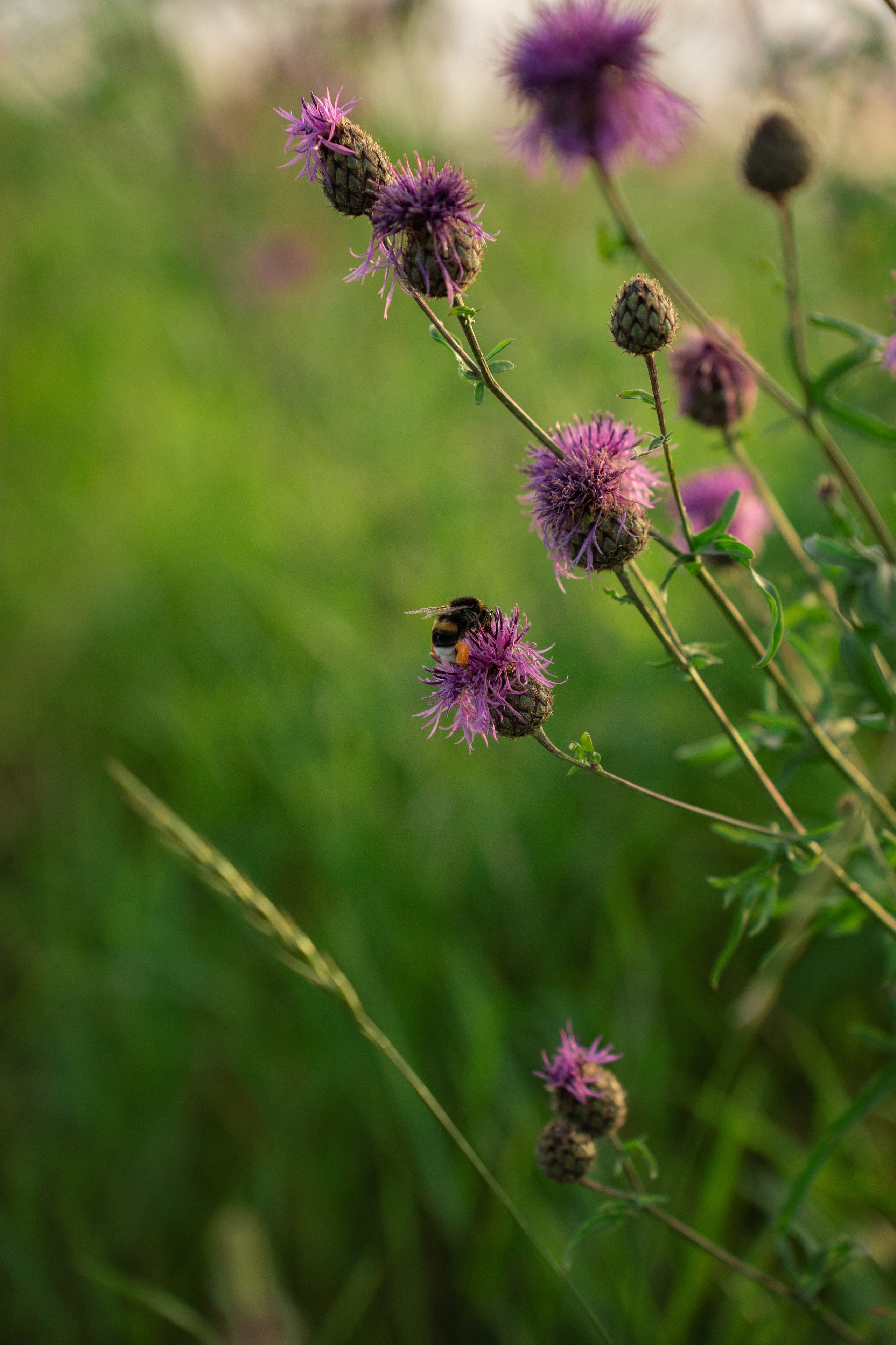 ATMOSPHERE. Фотограф Юрина Ксения Москва