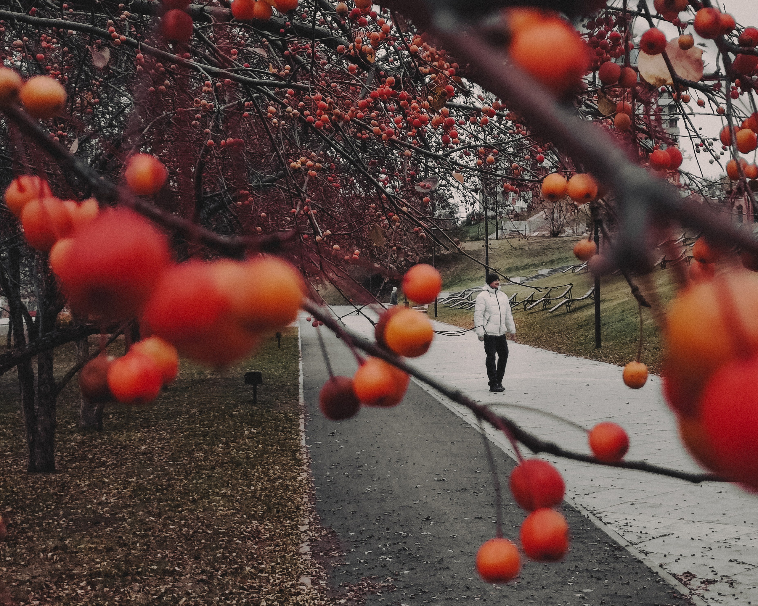 Максим. Фотограф Регина Крикунова г. Красноярск