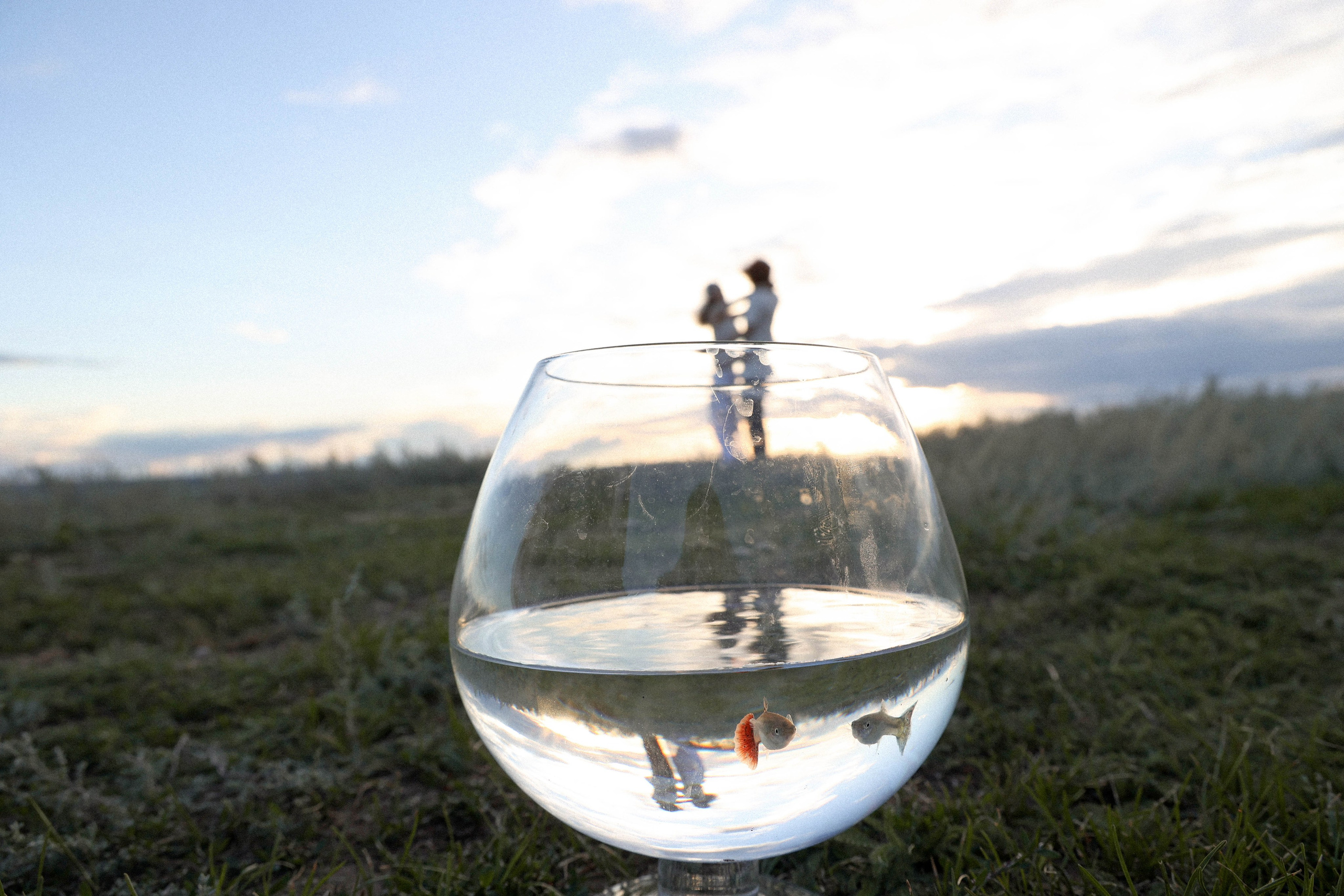 LOVE STORY. Свадебный, репортажный, фотограф Москва и Московская область