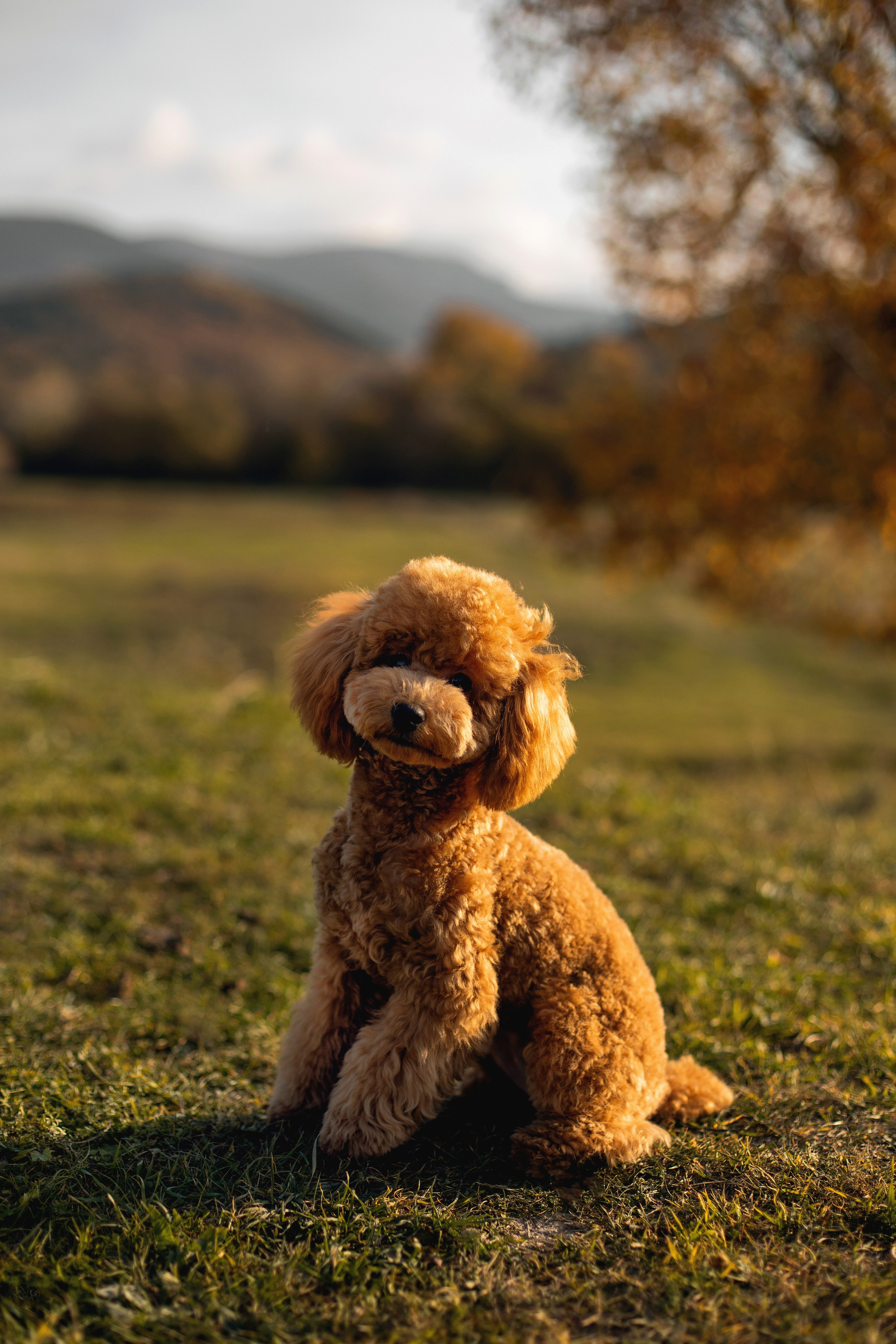 Артём и Анастасия