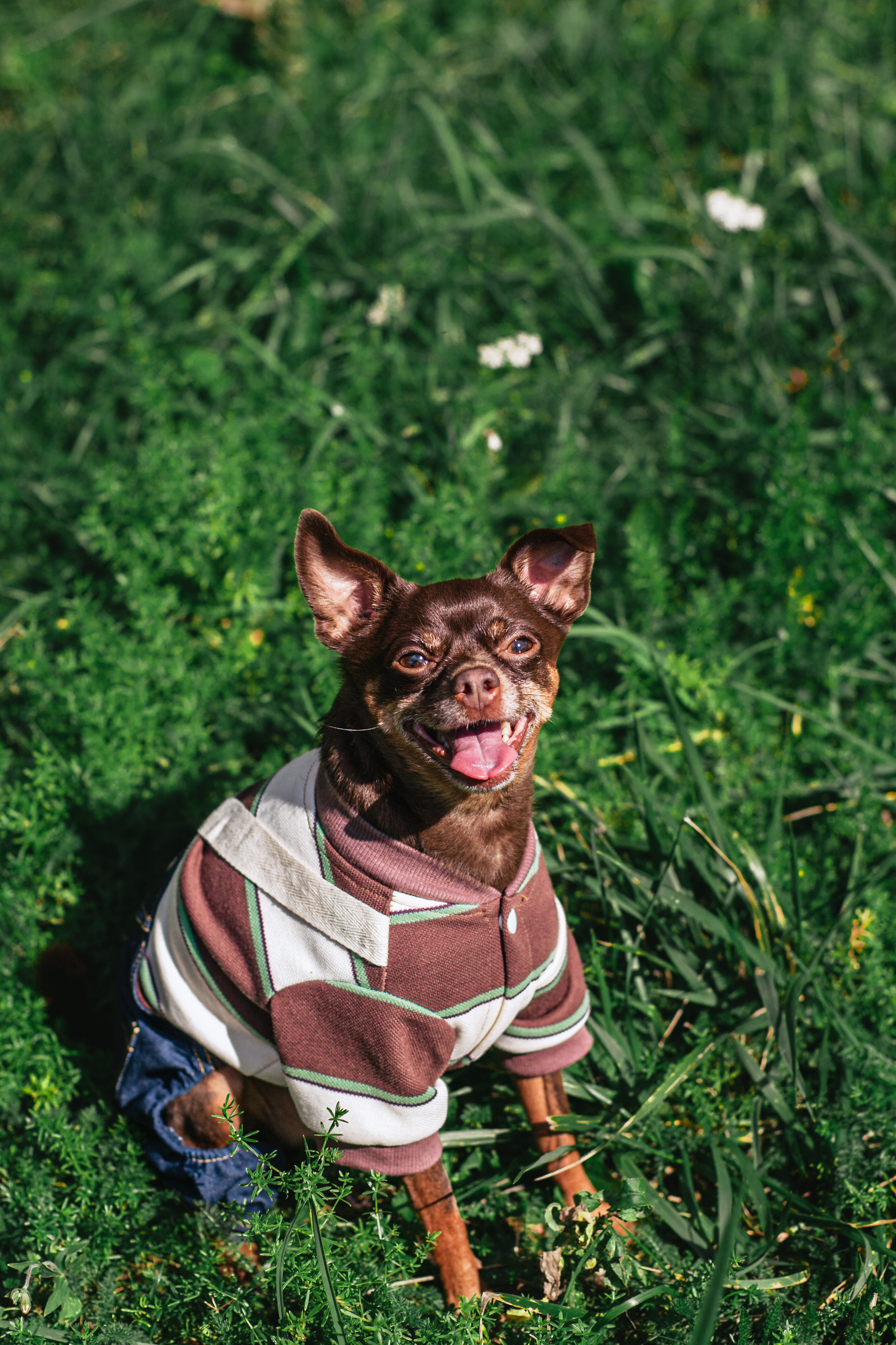 Восточный мост. Фотограф-анималист Татьяна Степанова