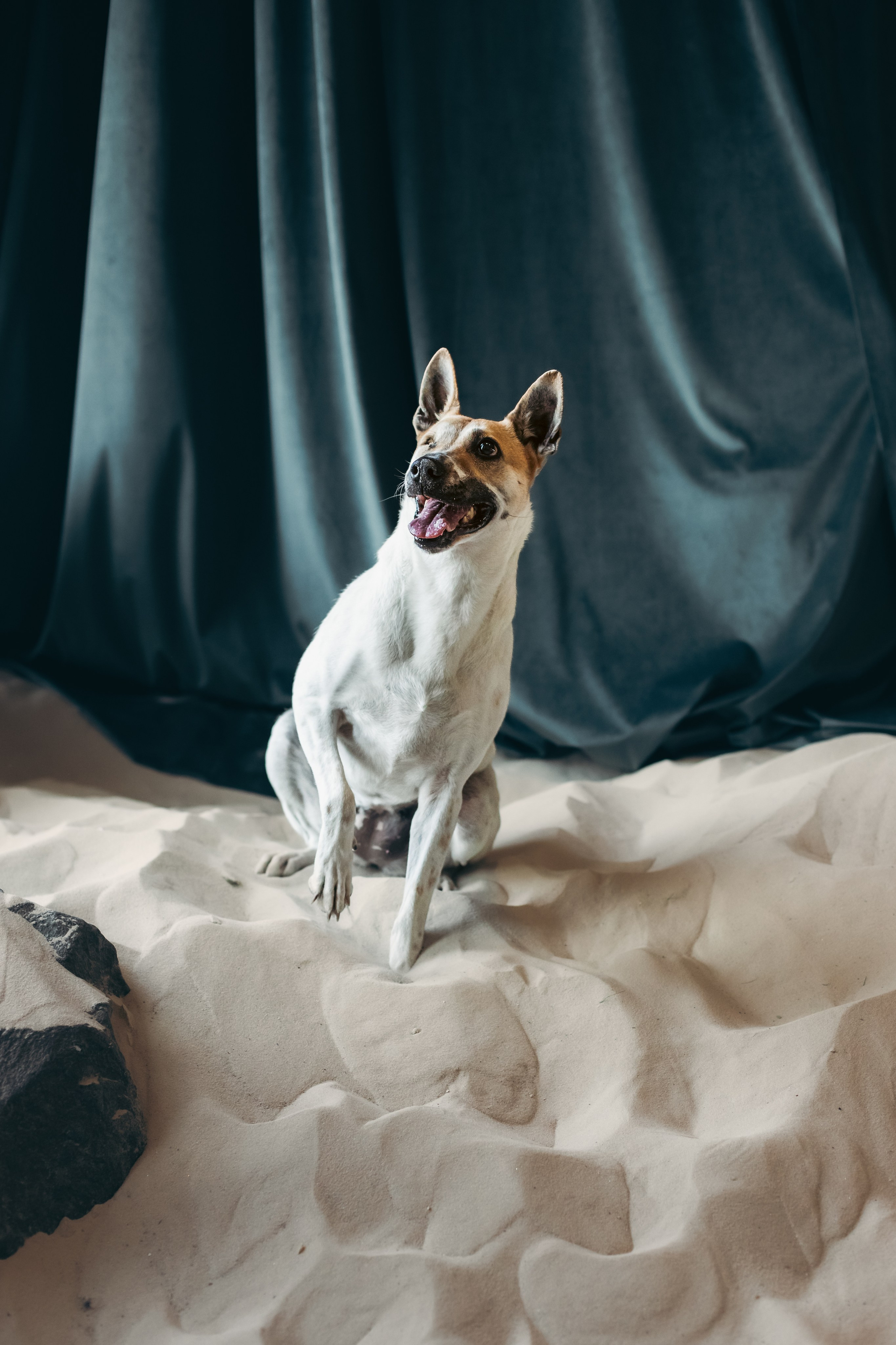 Полина и Альвильда. Фотограф-анималист Татьяна Степанова