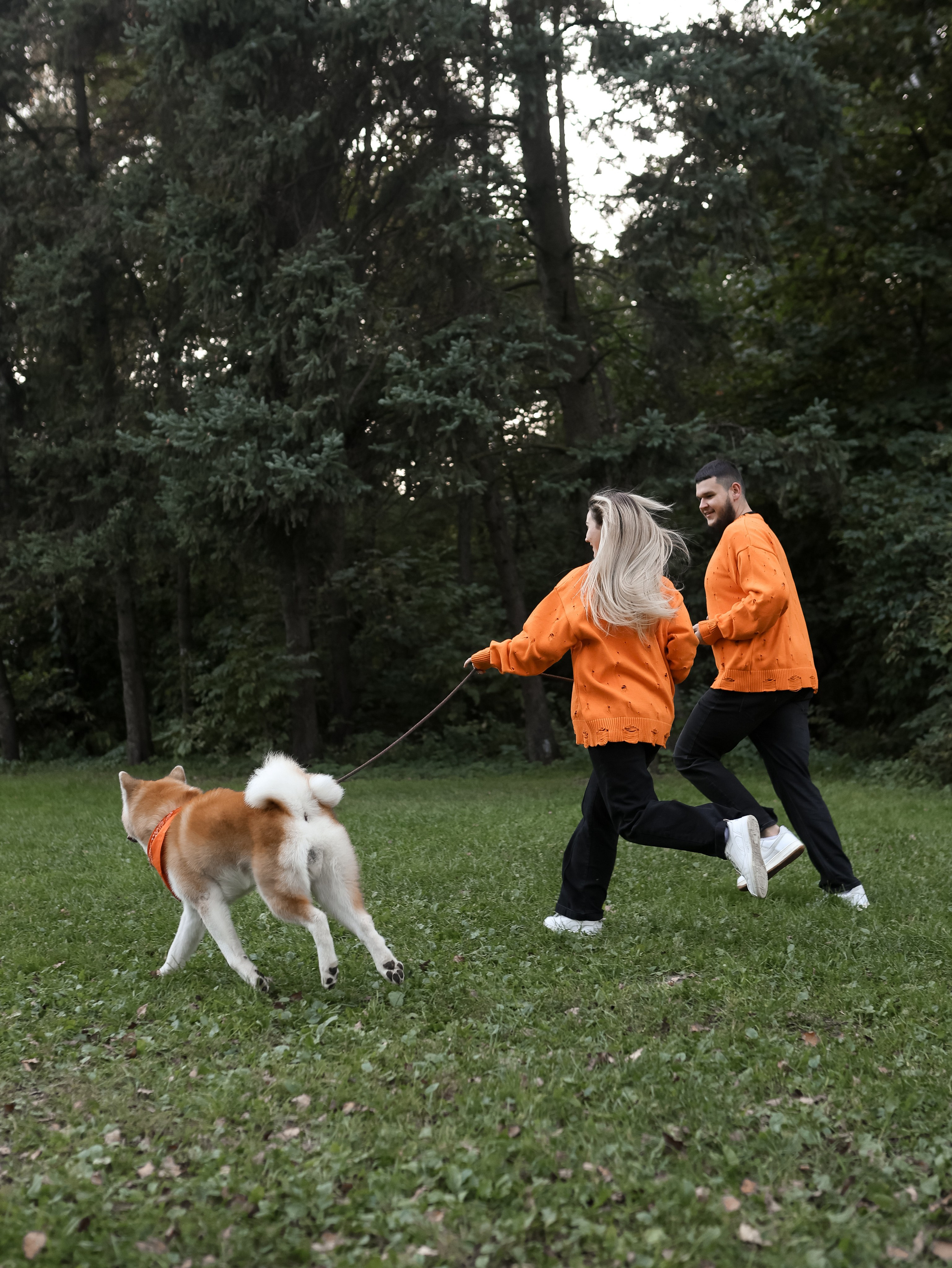 Гранд, Вика и Степан. Фотограф-анималист в Москве Кириллова Татьяна
