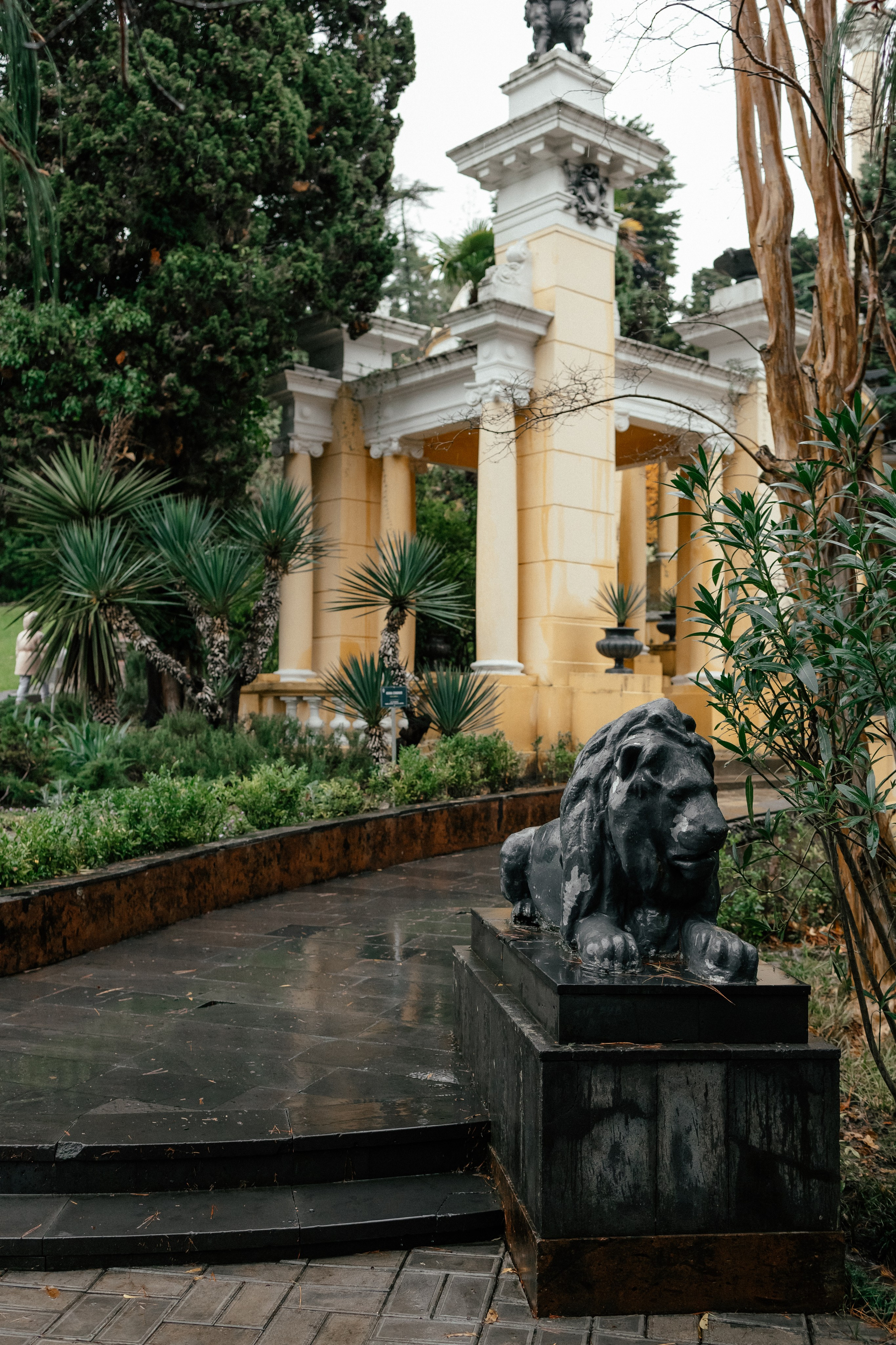 Сочи в декабре. Портретный фотограф в Санкт-Петербурге