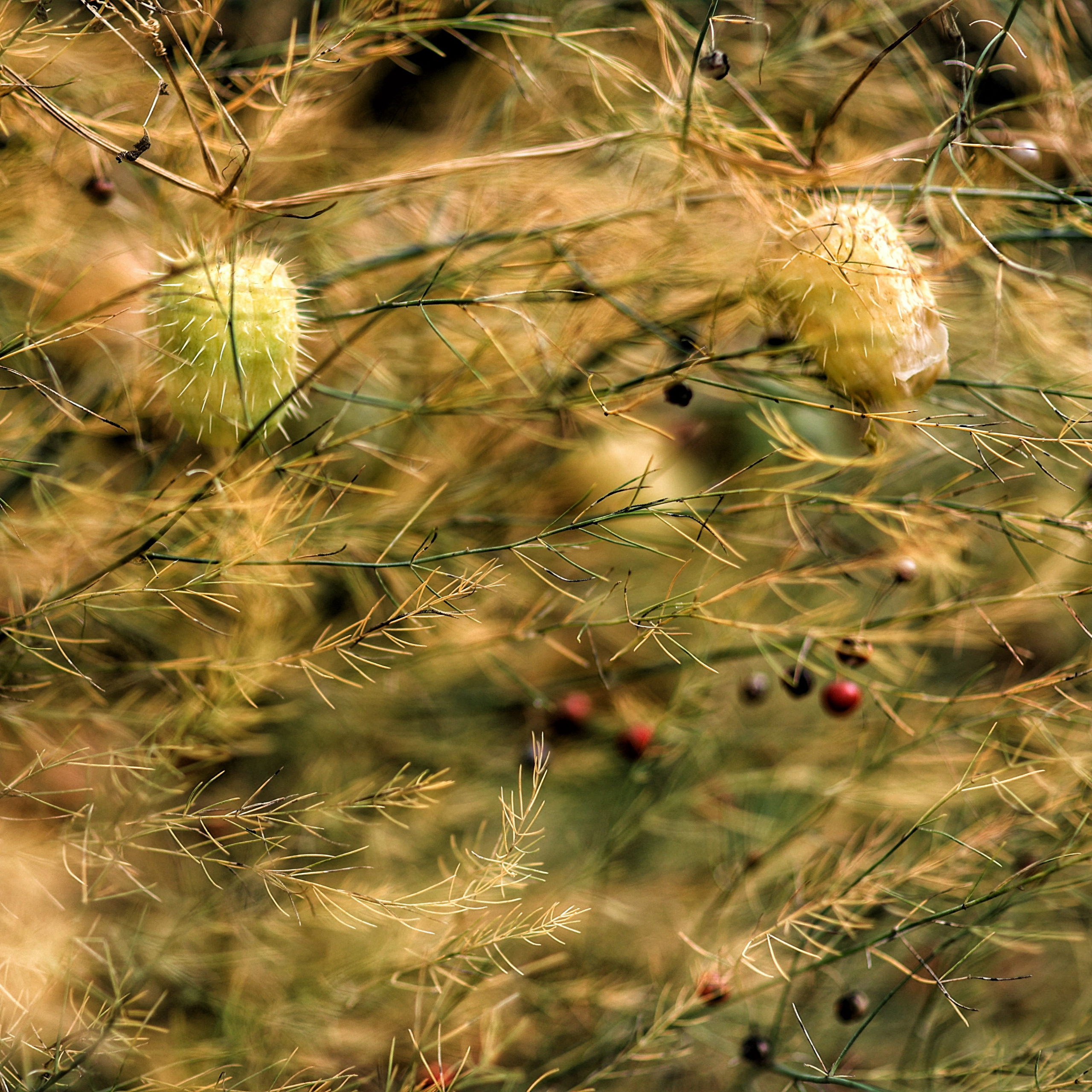 2022. Тащилин Сергей. Фотографии. Жизнь. Хобби