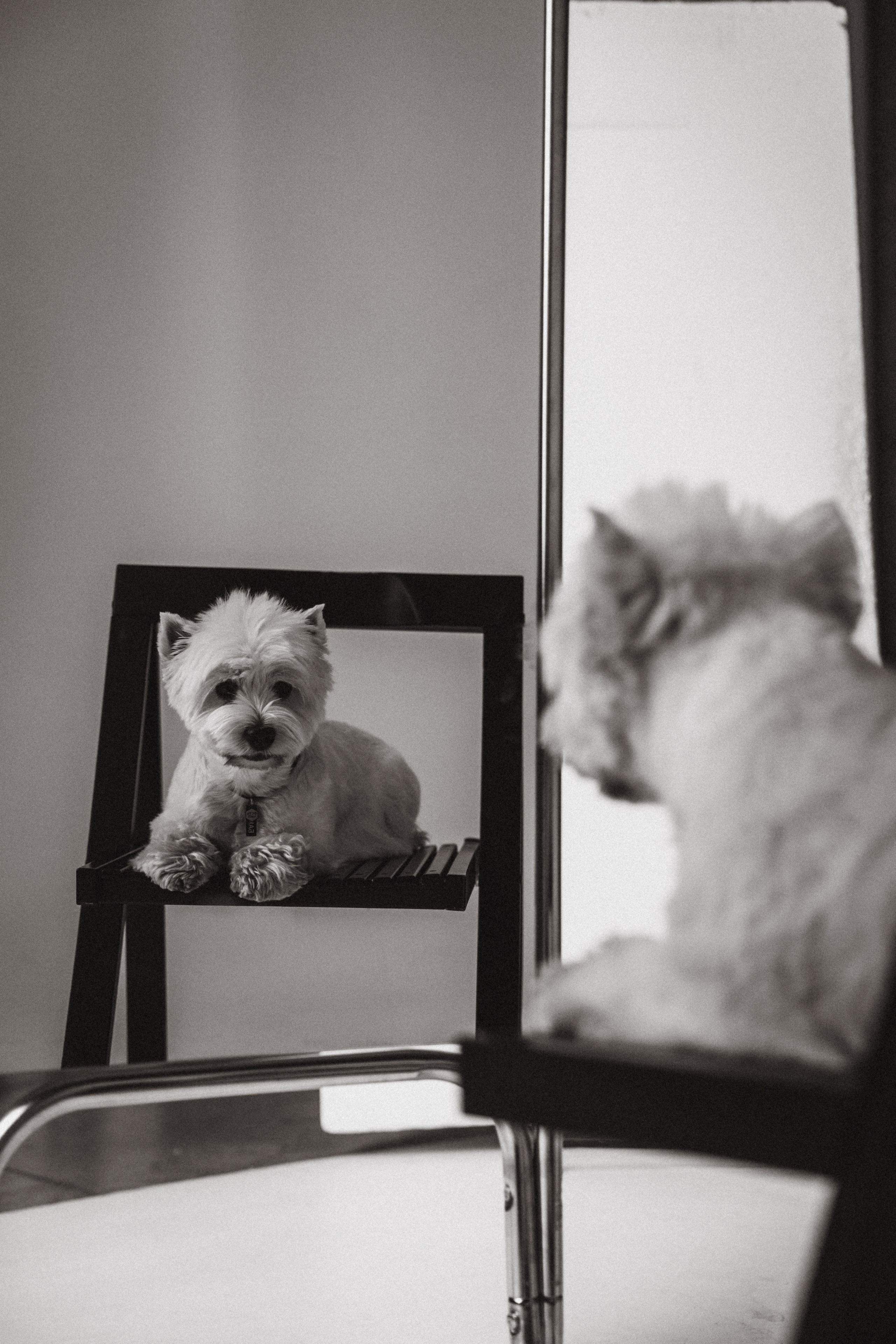 Вера и Бакс