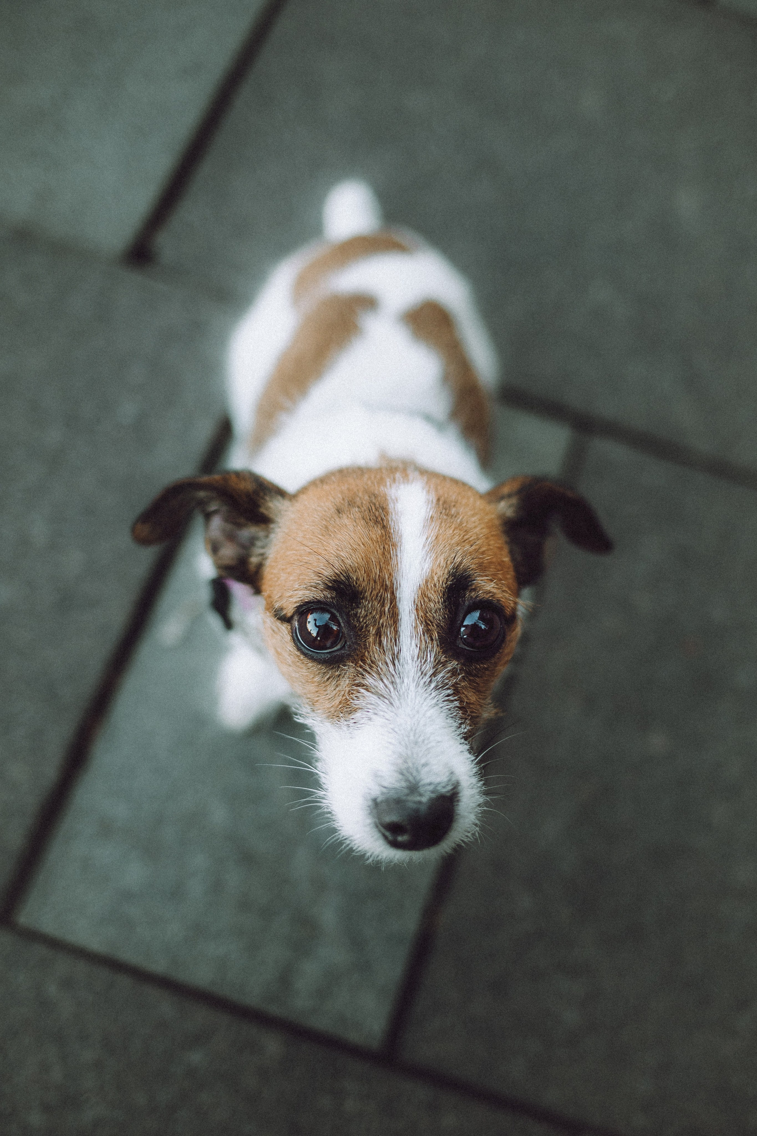 Лера и Рада