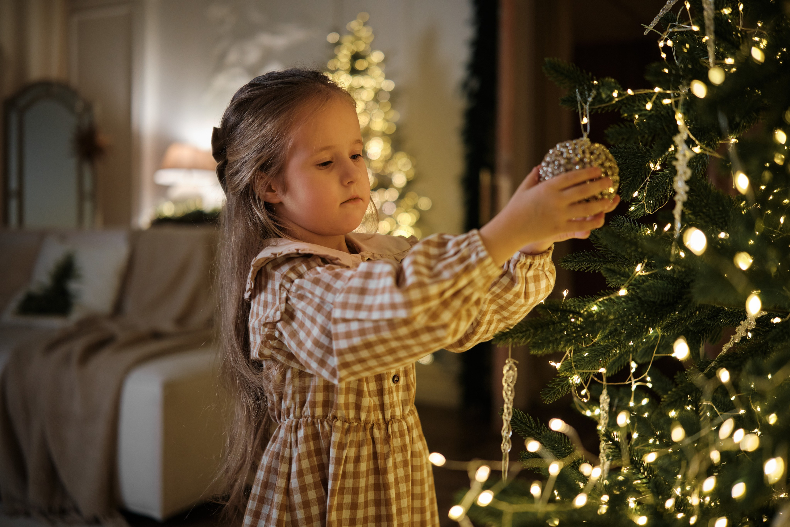 Новогодняя 2. Фотограф в Самаре Татьяна Дубаносова