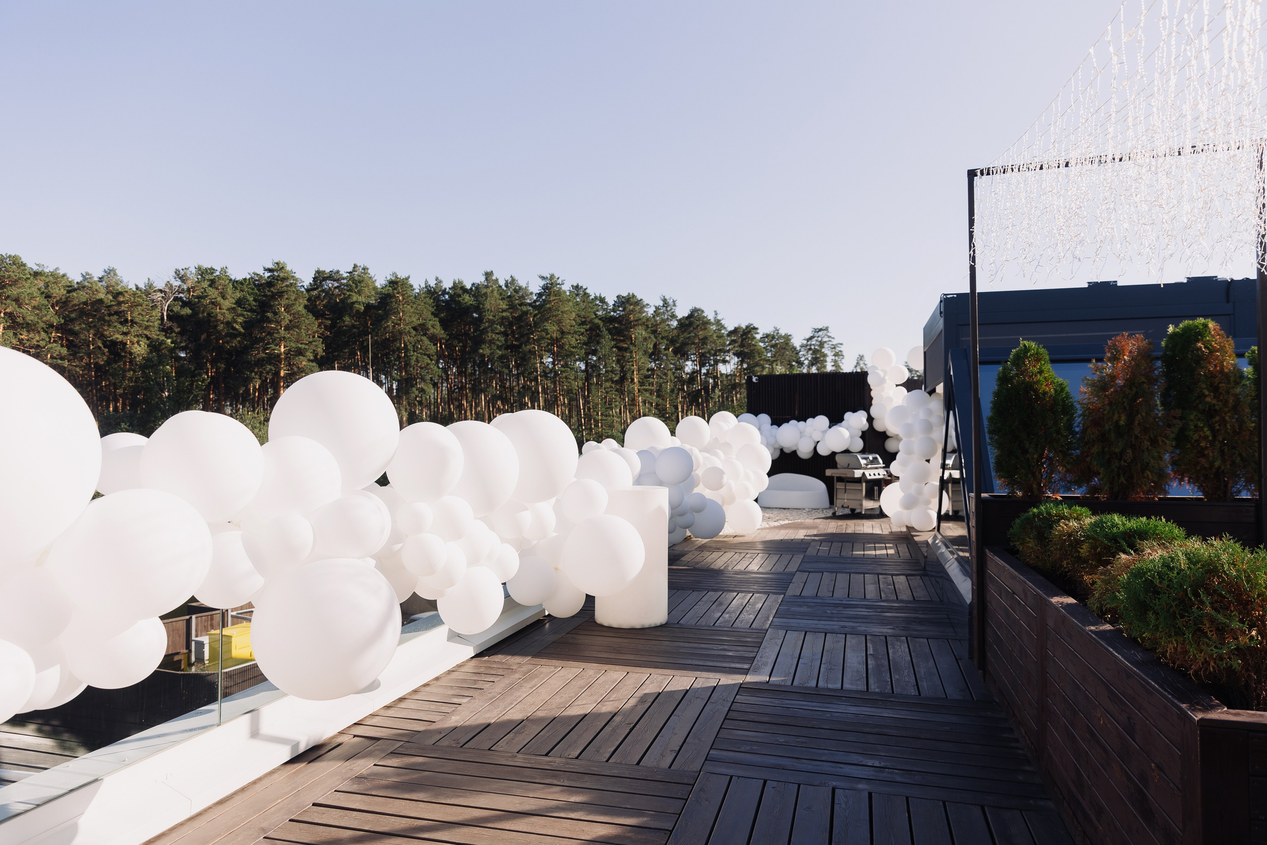 Мика. Фотограф Олег Коровяков