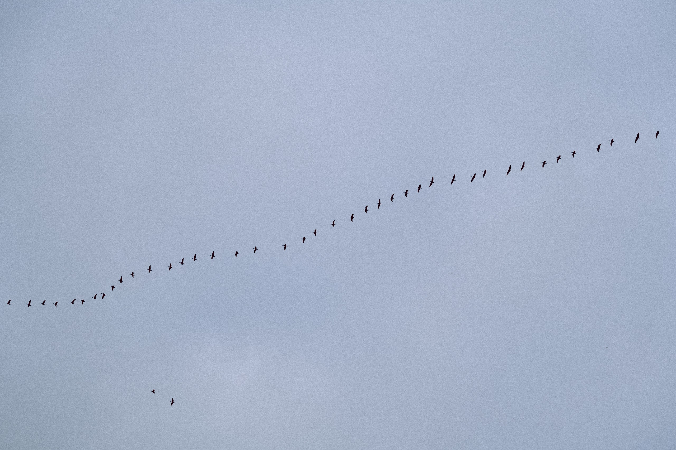 Осеняя прогулка. Профессиональный фотограф, Санкт-Петербург — Виктория Богомолова