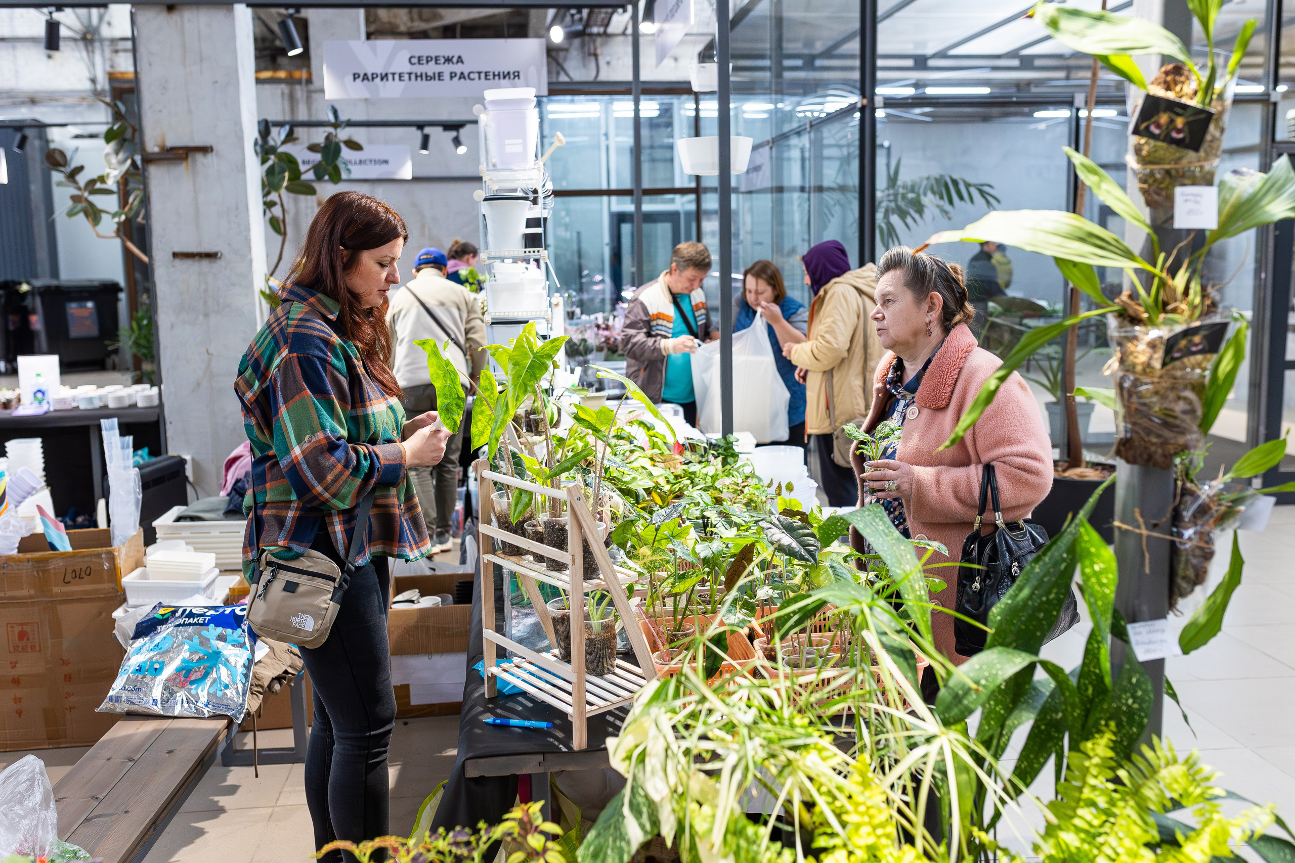 Ярмарка Green Rare 20.09.25. Александра Куликова фотограф, Москва