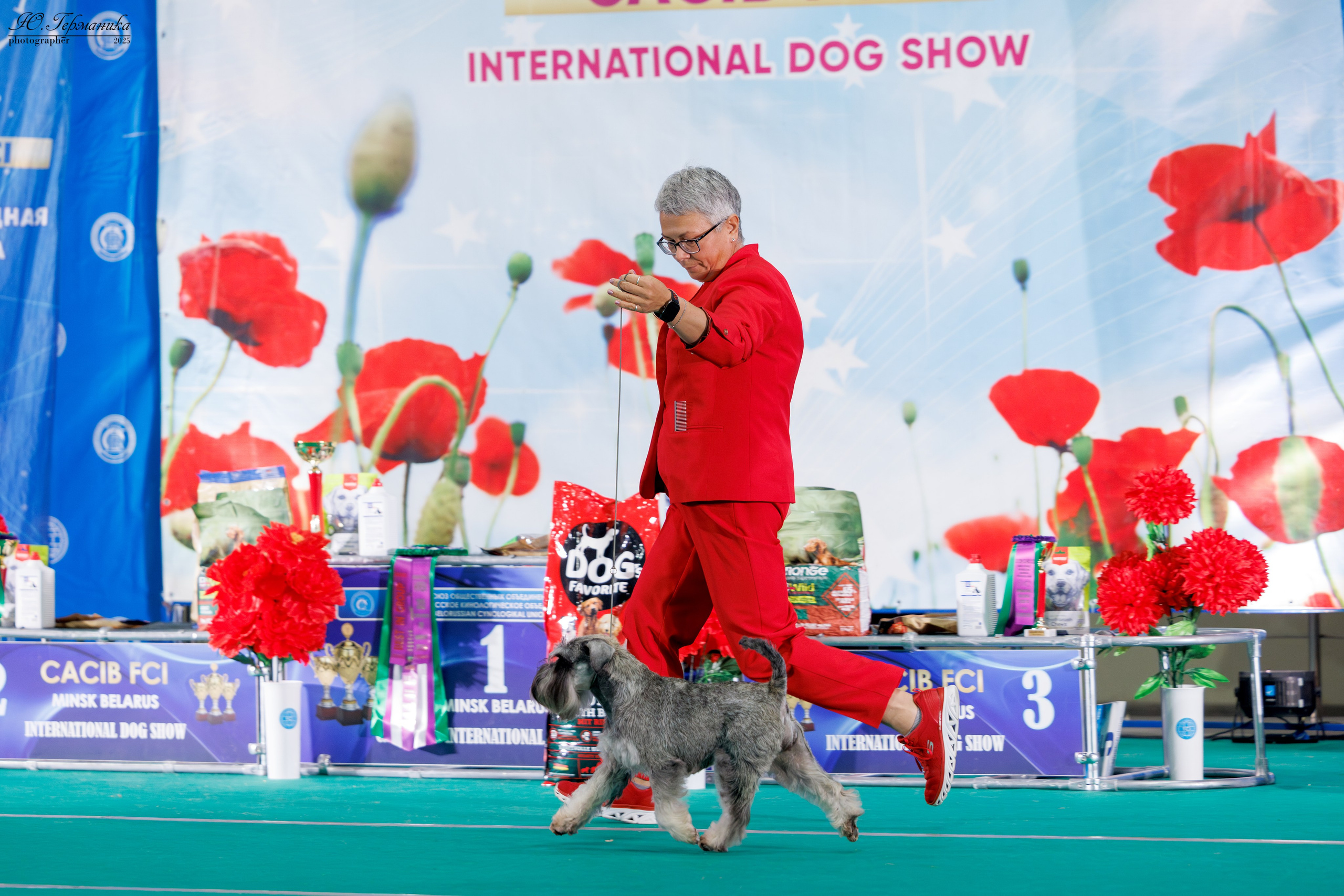 Минск 31.05-1.06.2025. Фотограф-анималист Юлия Германика