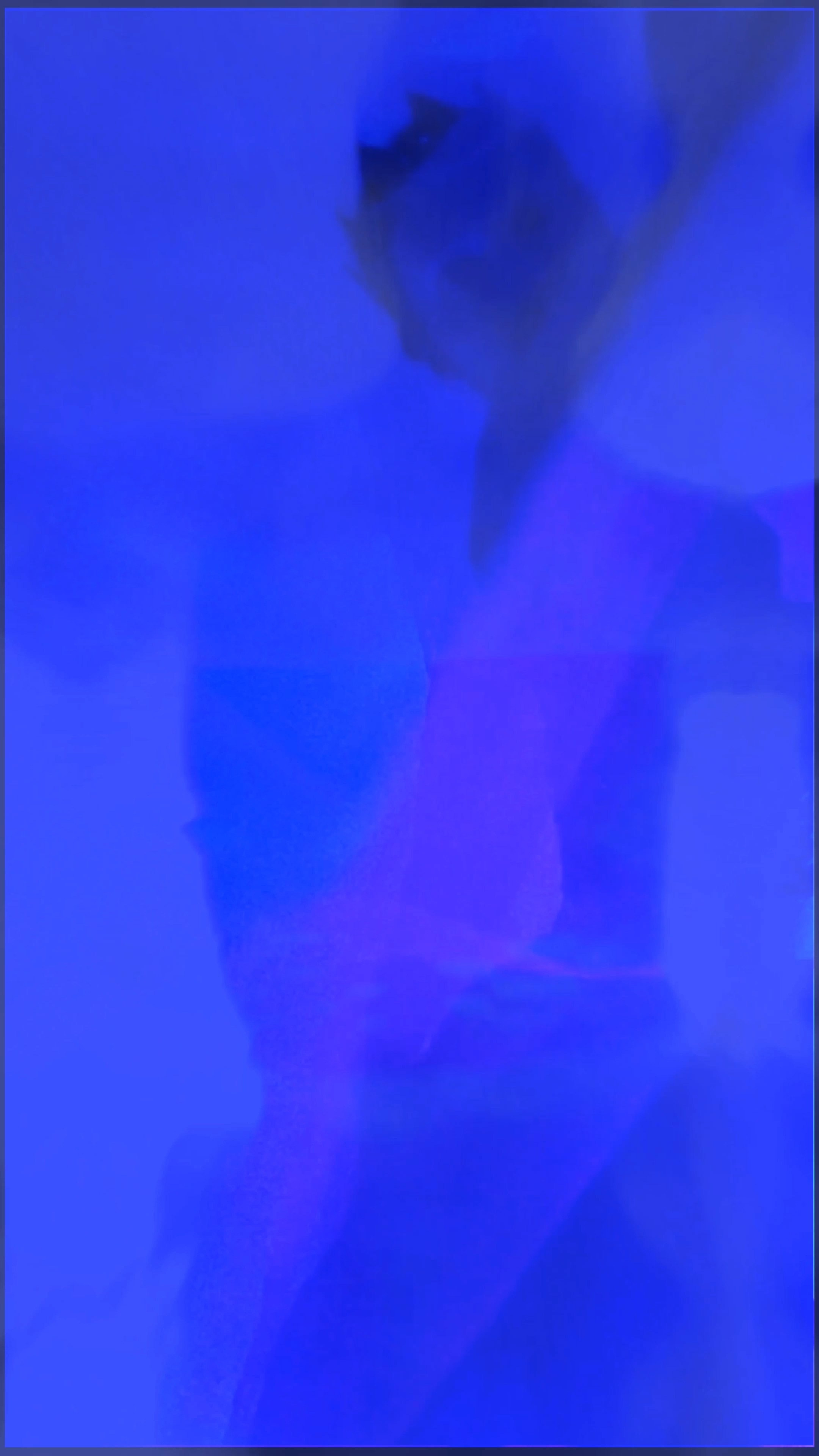 THE SAPPHIRE VEIL. Exclusive Closing Gifts for Top Realtors | Custom House Portraits by Yulia Yurchevskaya