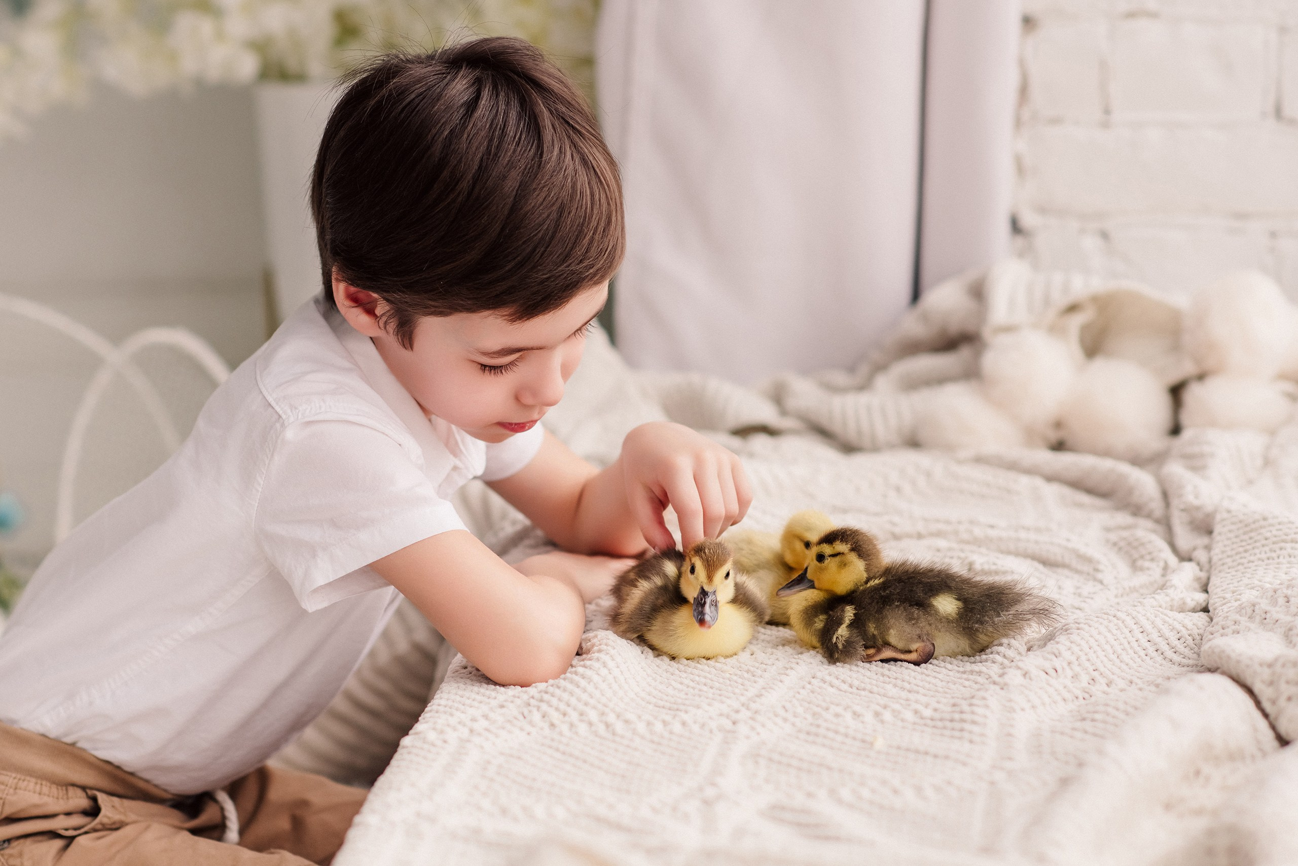 Амина и Амир. Утята. Семейный и Свадебный фотограф. Санкт-Петербург. Пушкин