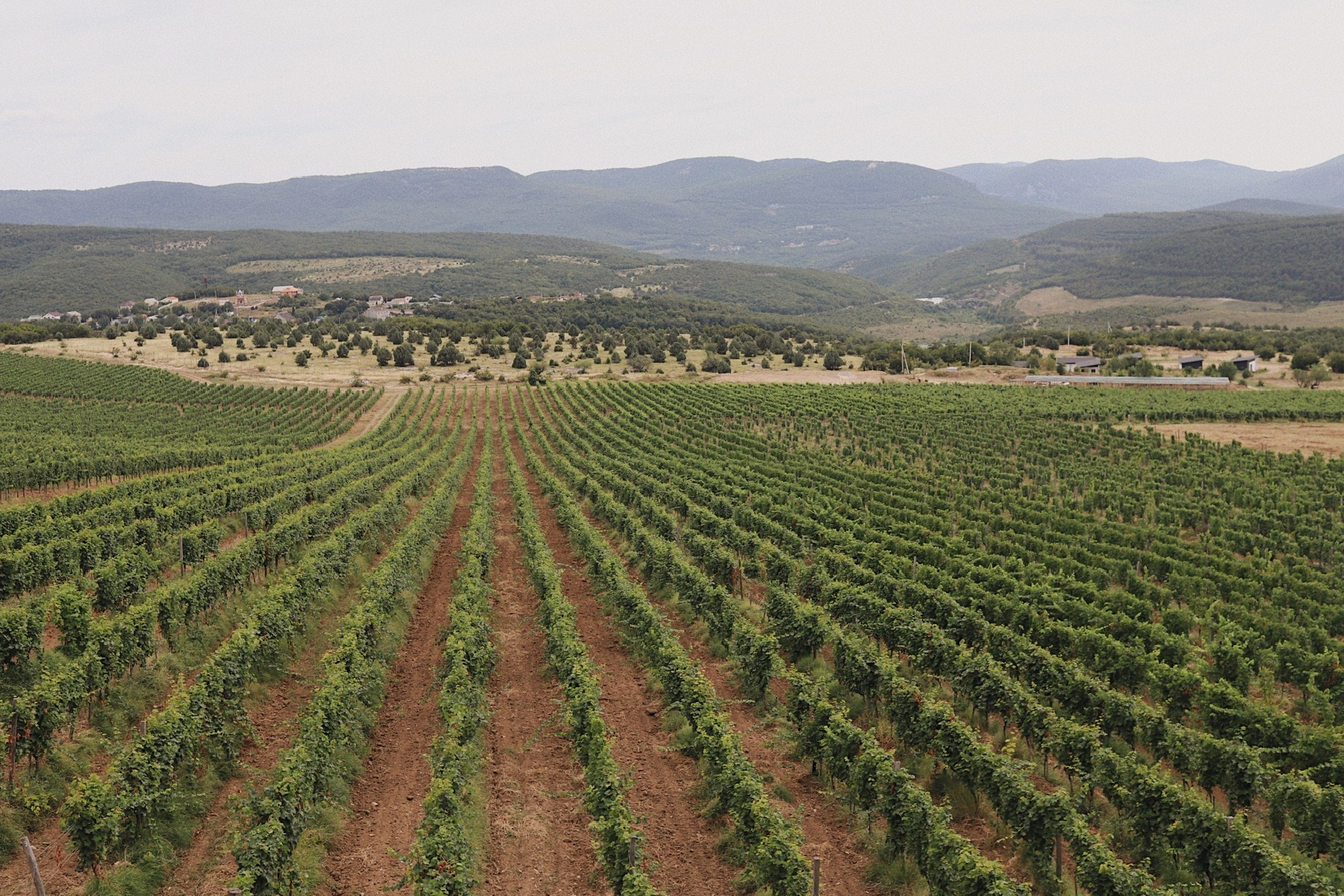 I Like Trip. Фотограф в Москве Виктория Губина