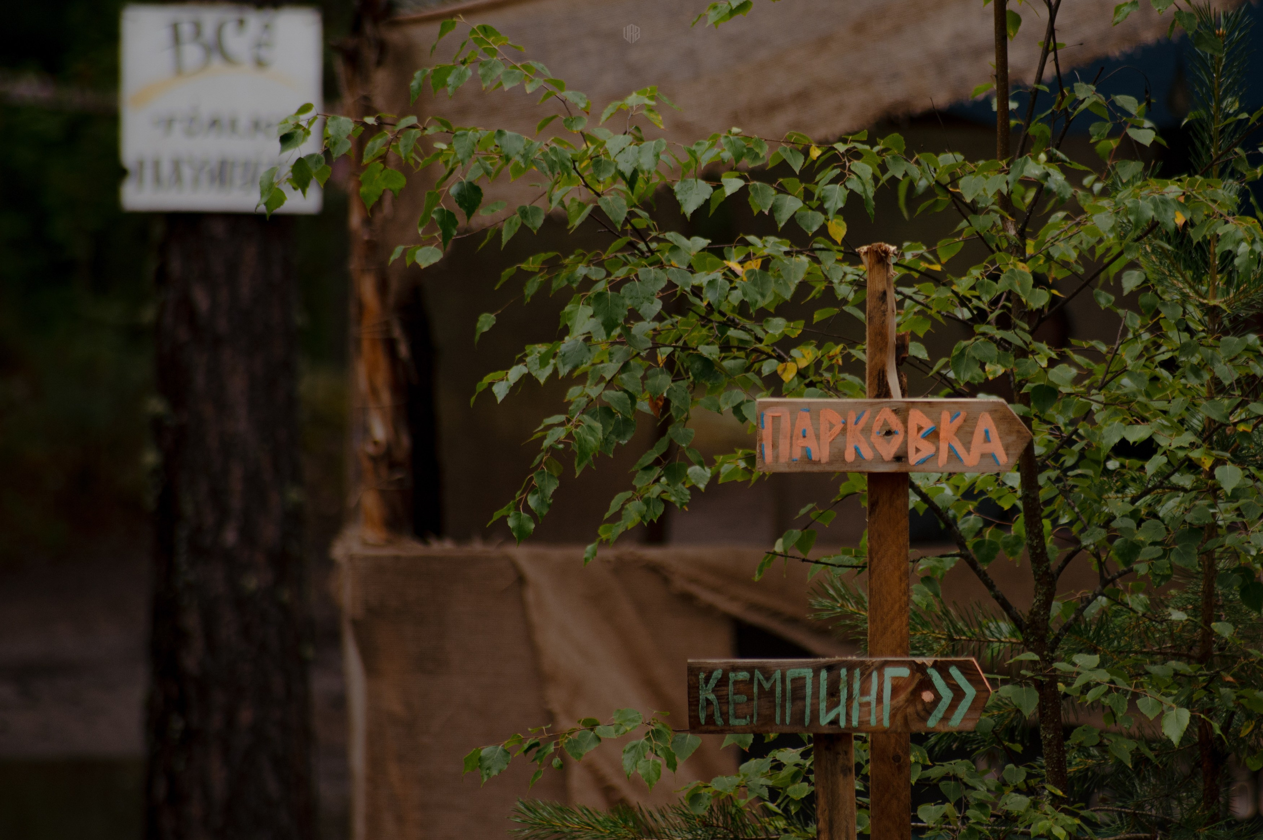 METADREAMS 2024. Контент фотограф Илья Урс