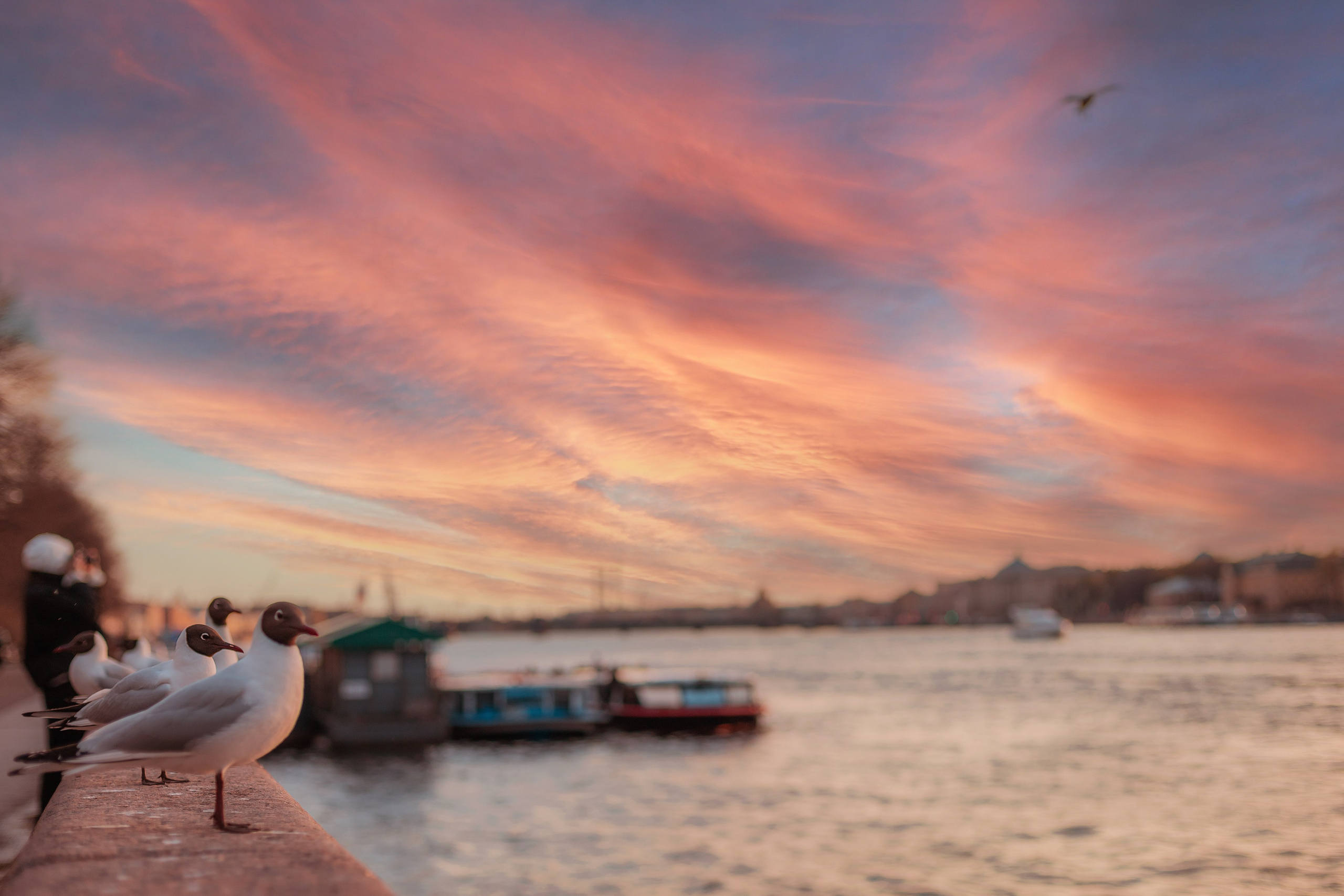 Семейный и детский фотограф в Москве Артём Жигурс
