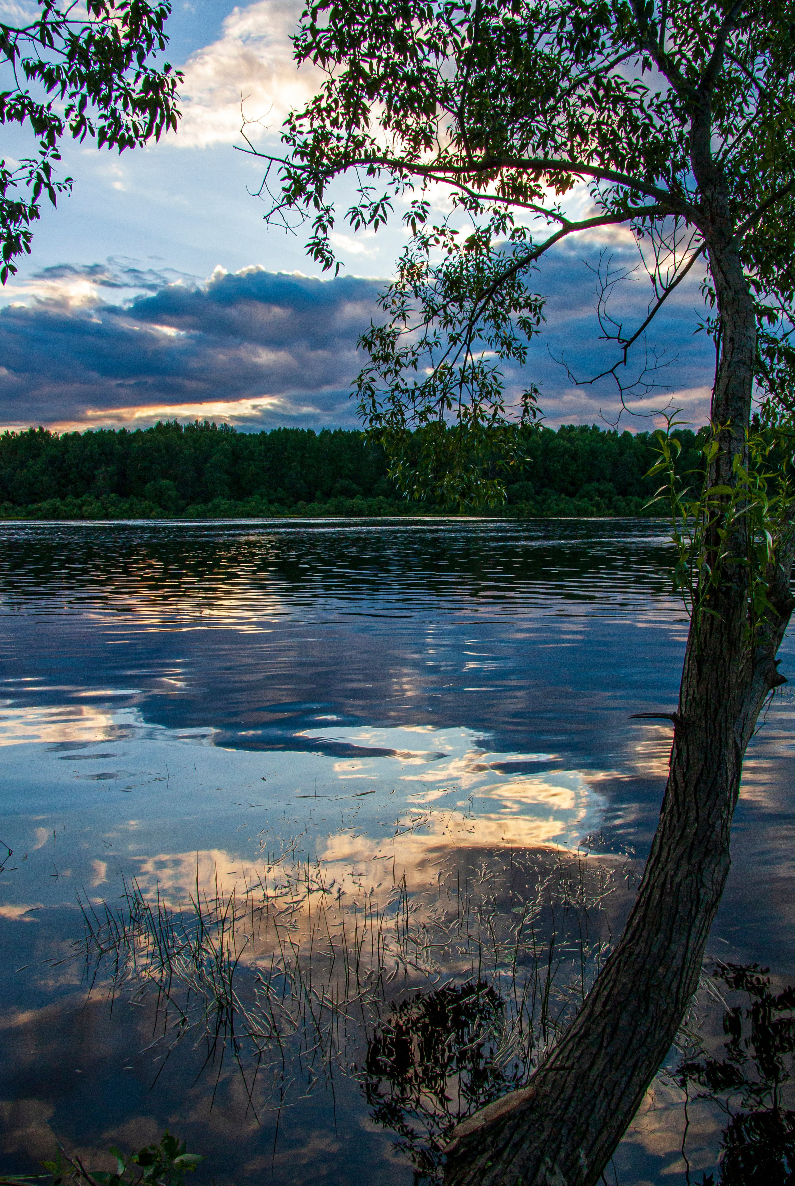 Пейзаж. Фотограф Люся Воробьева