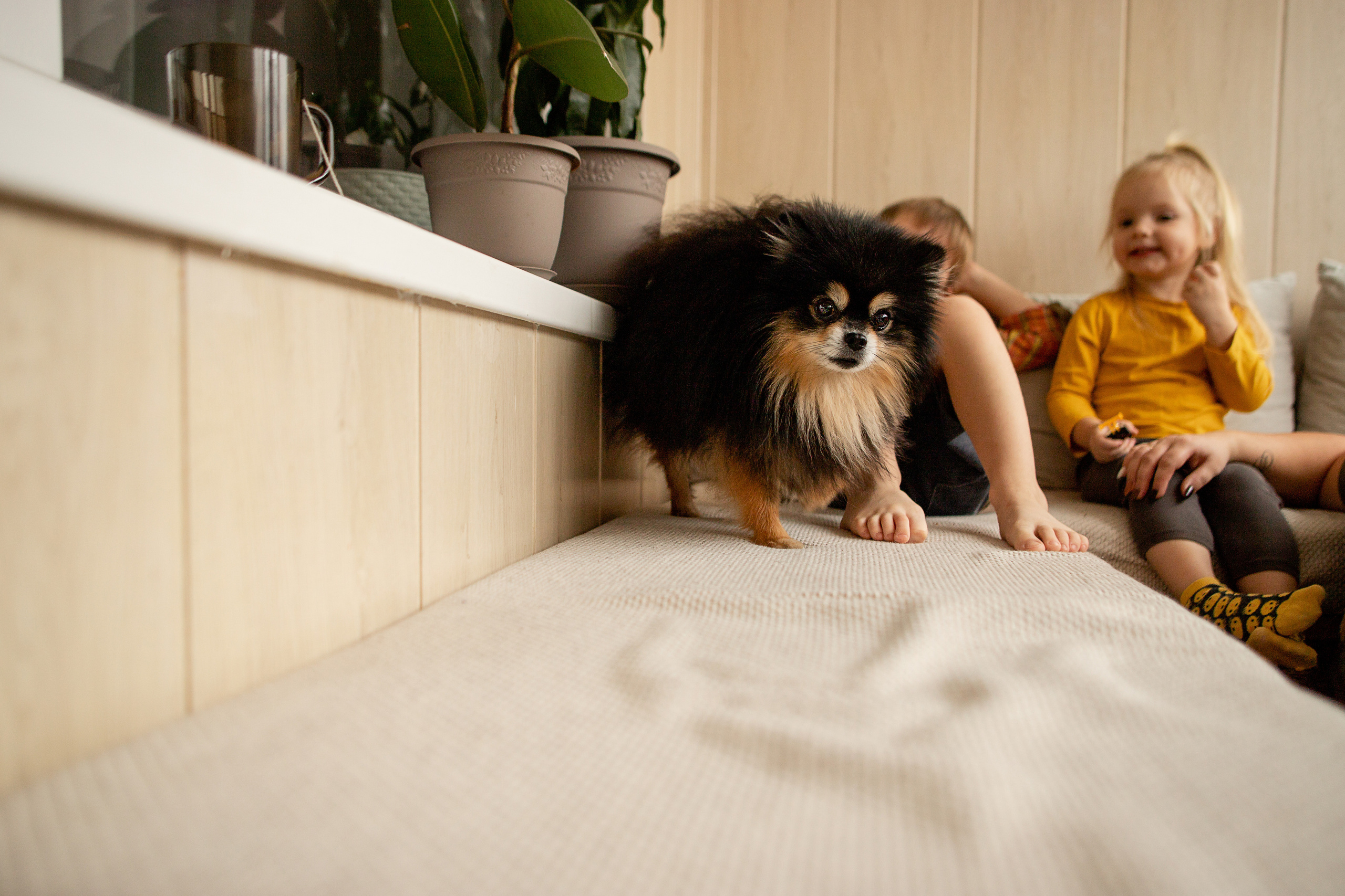 Анастасия, Ваня и Алёна. Семейный фотограф в Рязани Харламова Влада