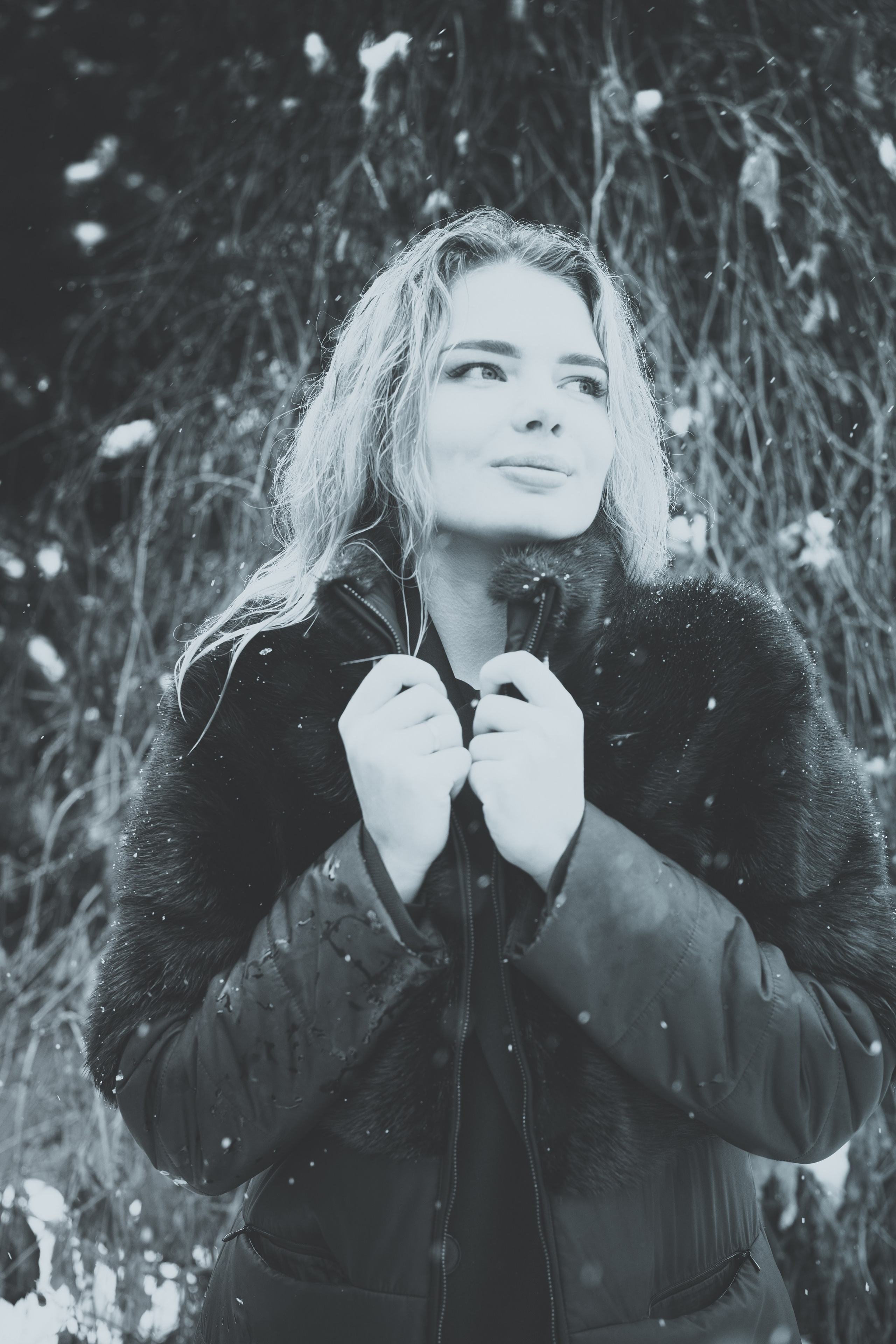 Елизавета. Натали Ридель