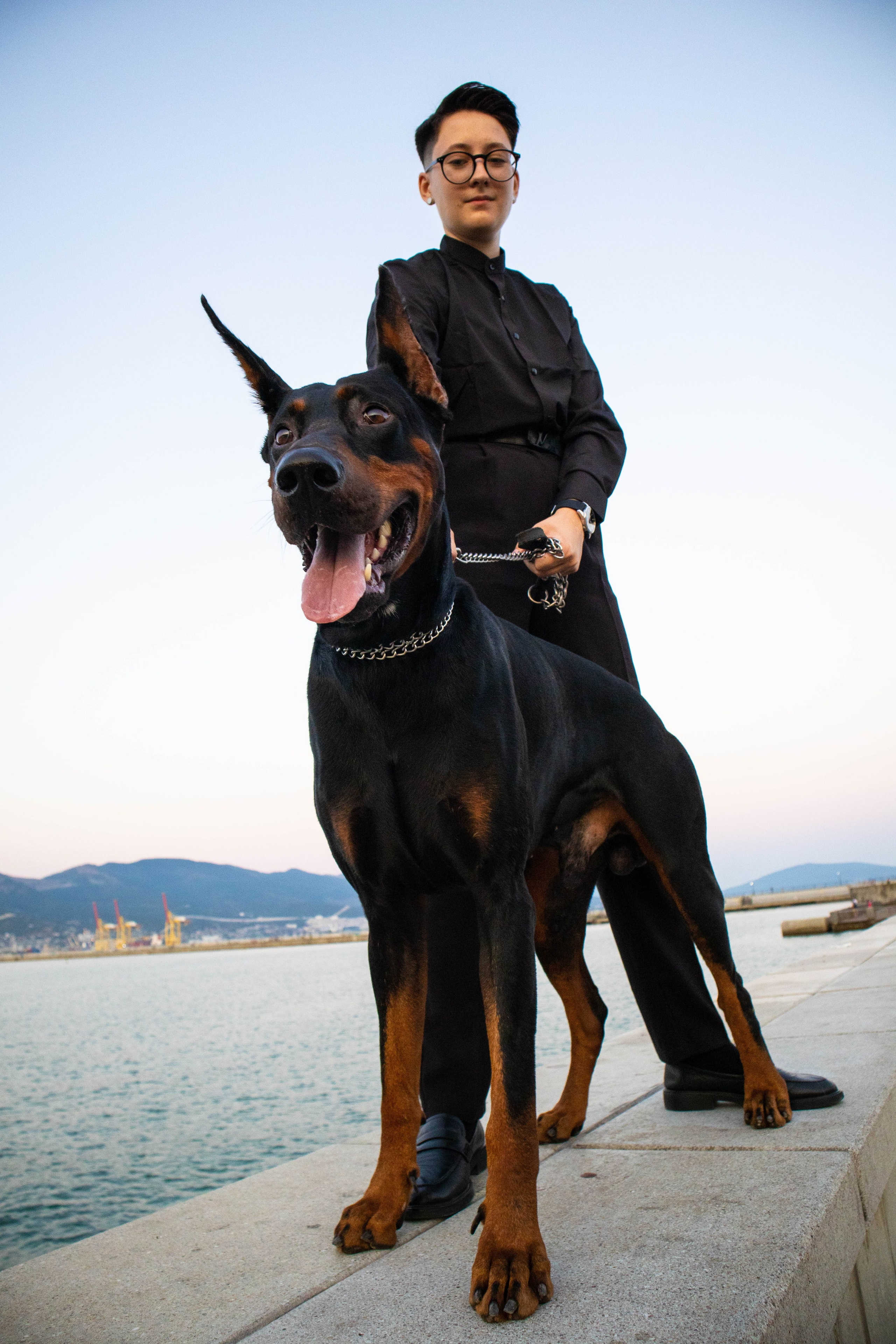 «Жизнь в ритме шага: пара с доберманом». Уличный фотограф Города N