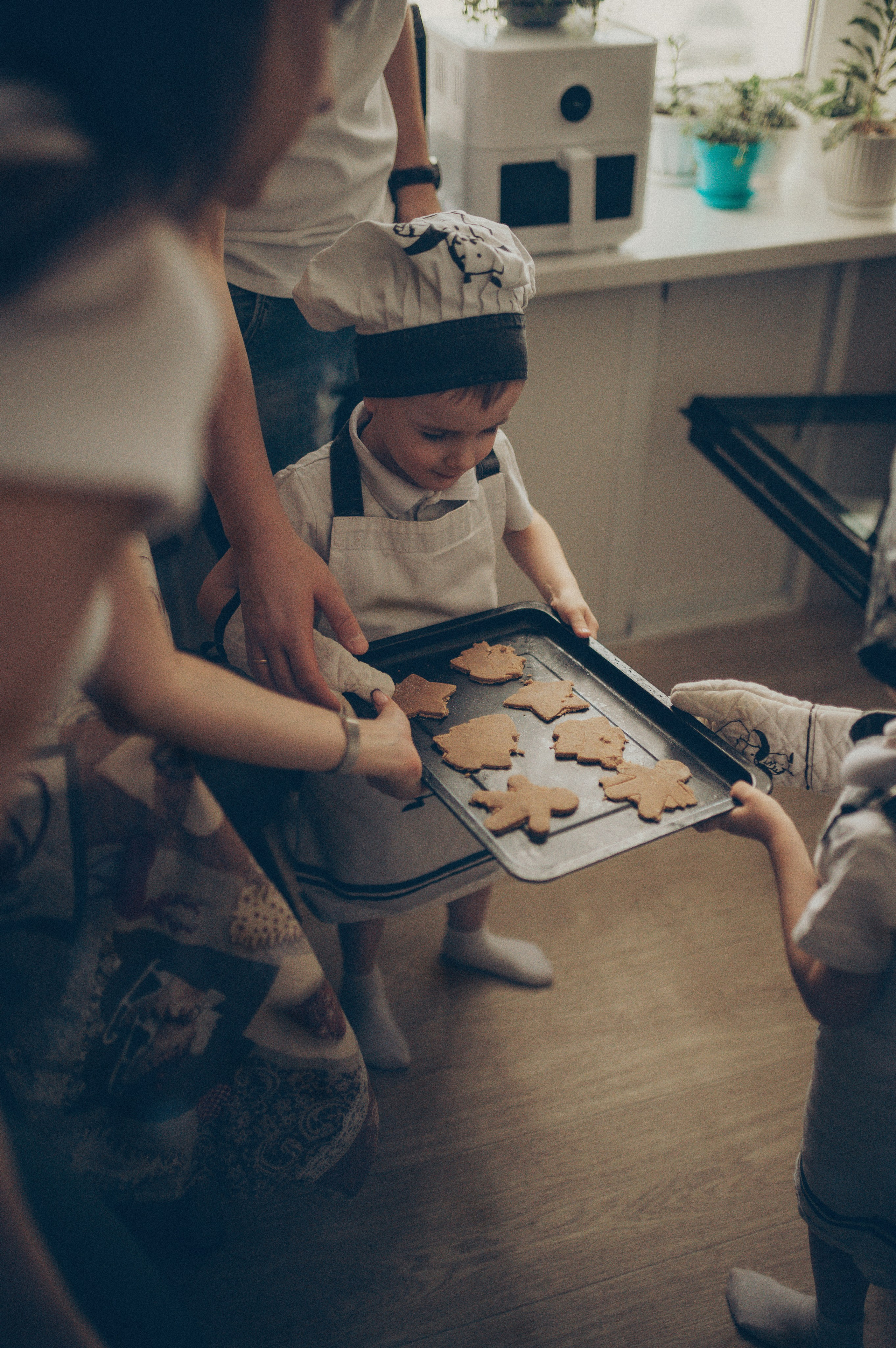 Поворята Миша и Тимофей (домашняя). Фотограф, г. Лесной Свердловской области