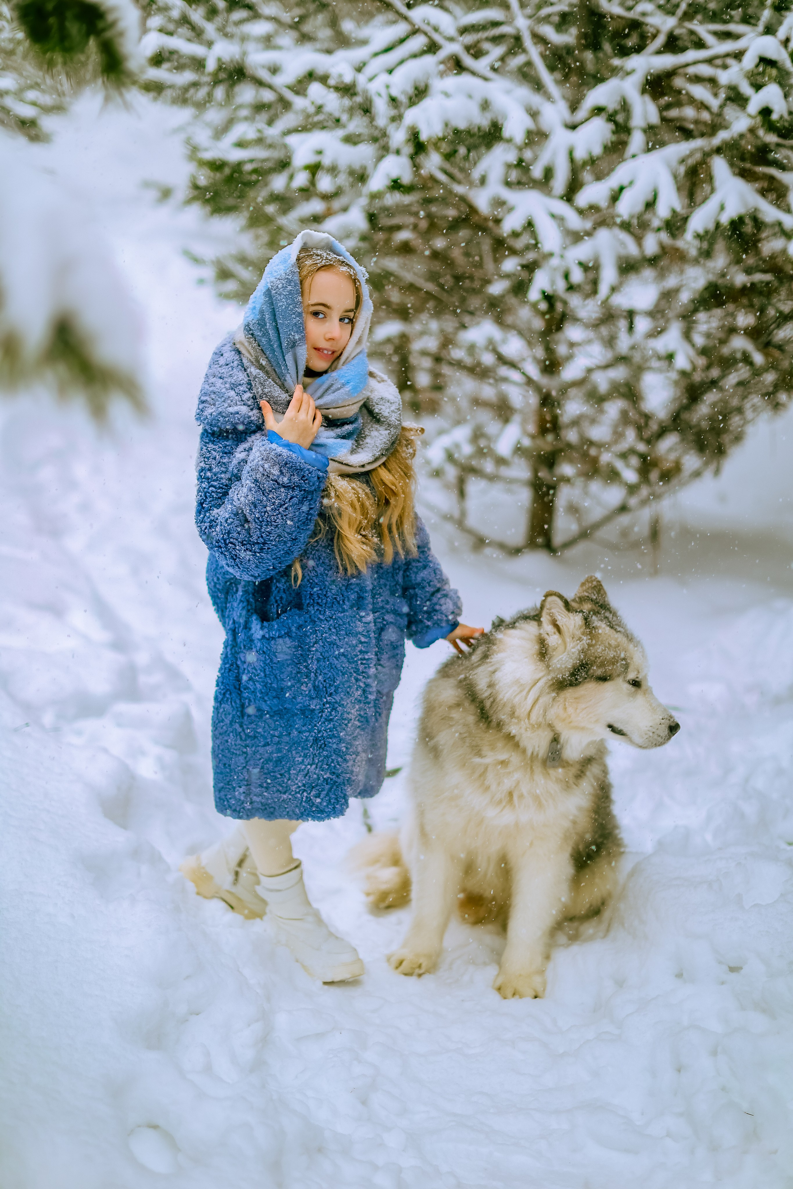 София и аляскинский маламут. Фото и видео Москва, Московский. Свадебный фотограф, видеограф, фотосессии, видеосъемка