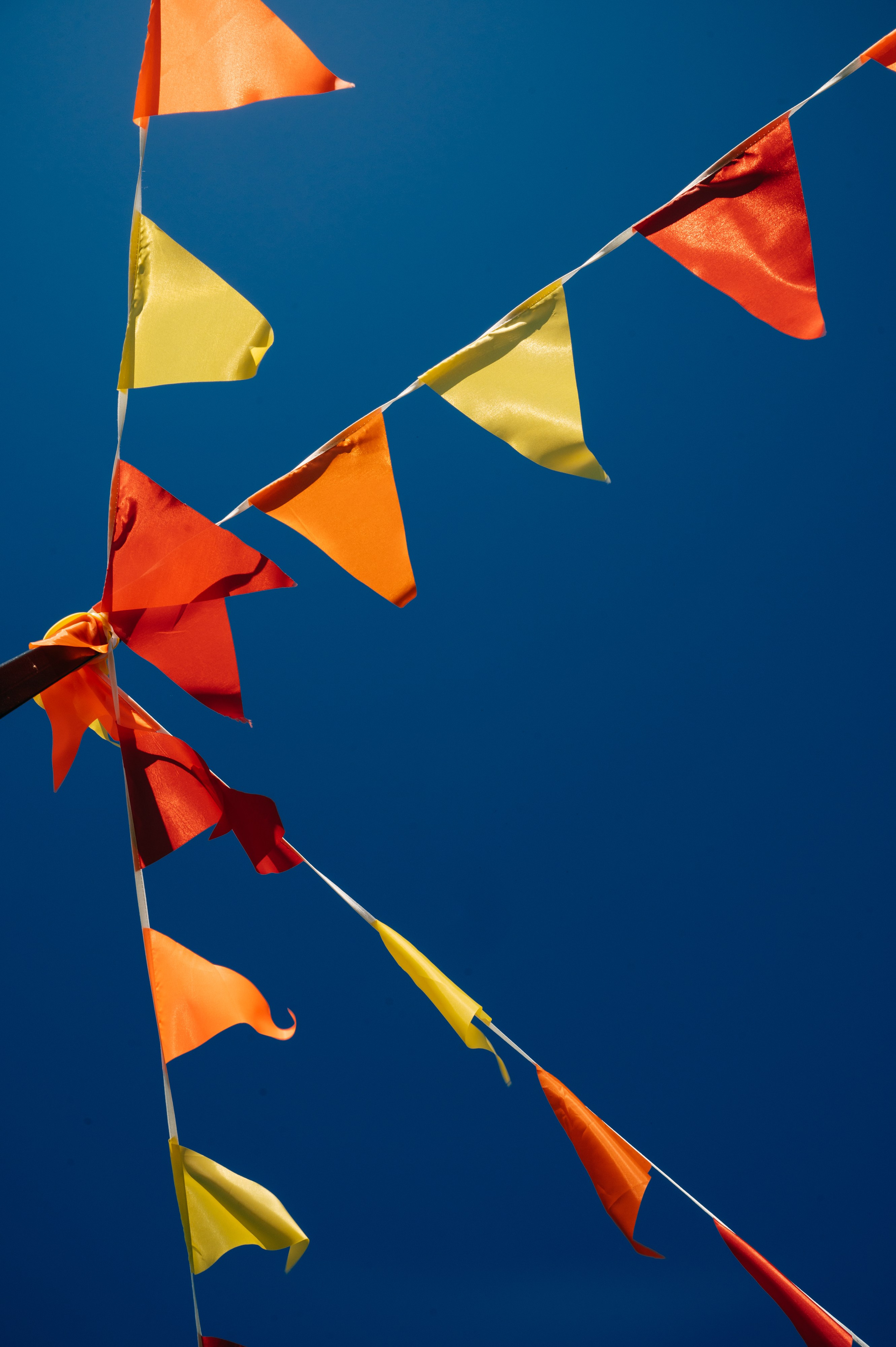 Всероссийский день поля 2025. SARKISOPH | Фотограф Волгоград