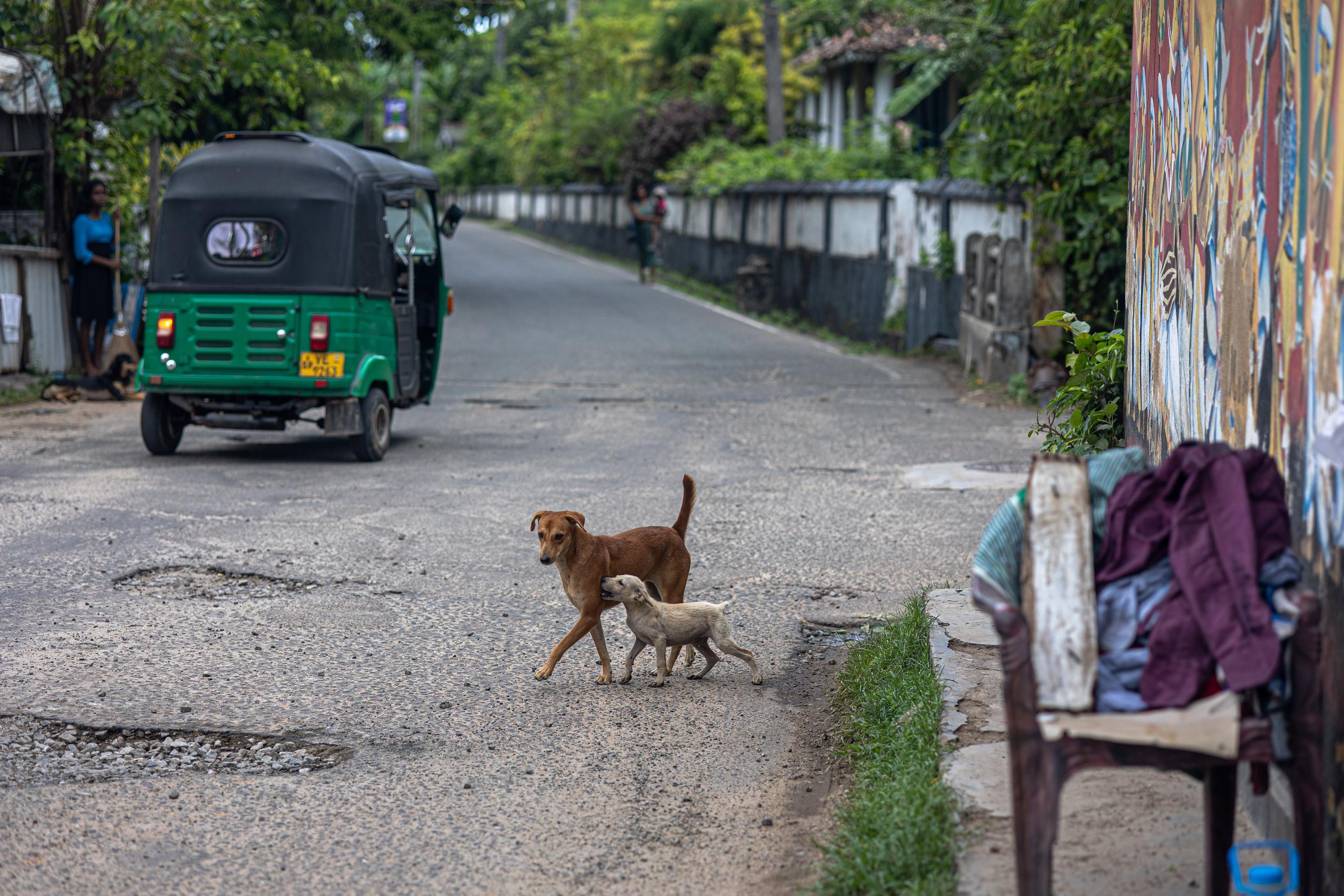 Weligama. Photographer Sonkina Tatiana (Tanya Ash)
