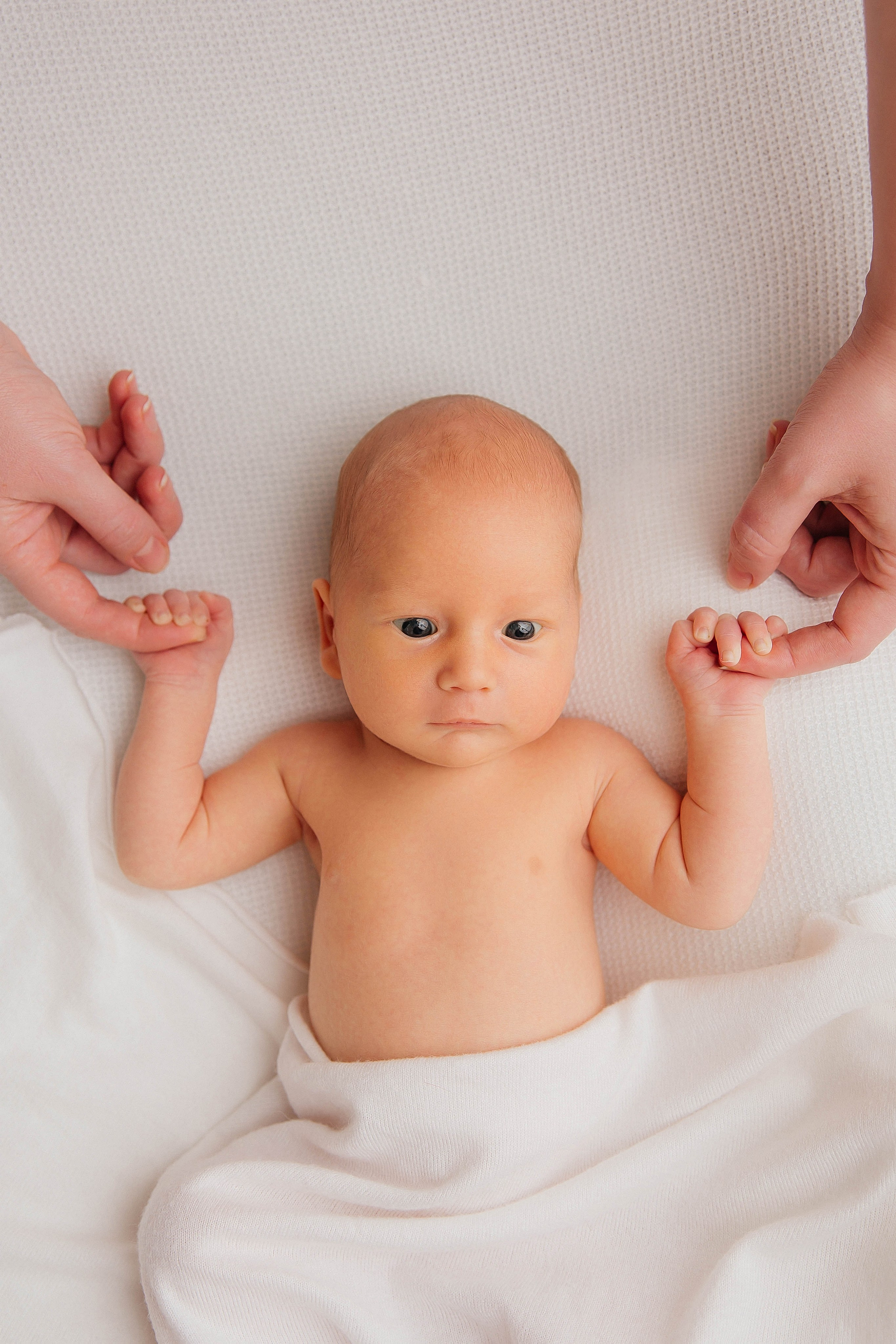 Лев. Фотограф новорожденных Тверь Диана Муляева
