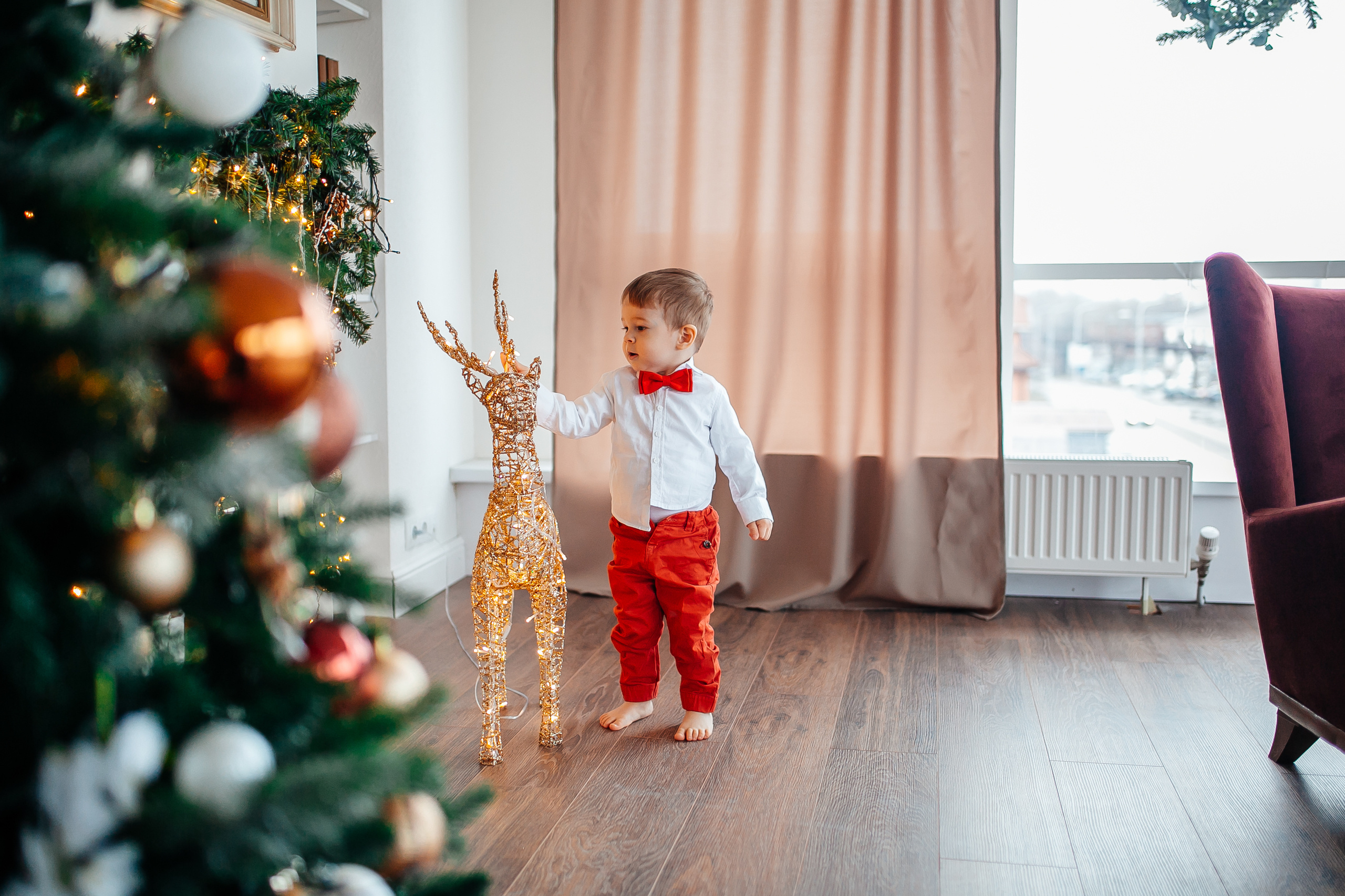 Новогодние фотосессии. Фото-Видеосъемка любых мероприятий Москва Ростов