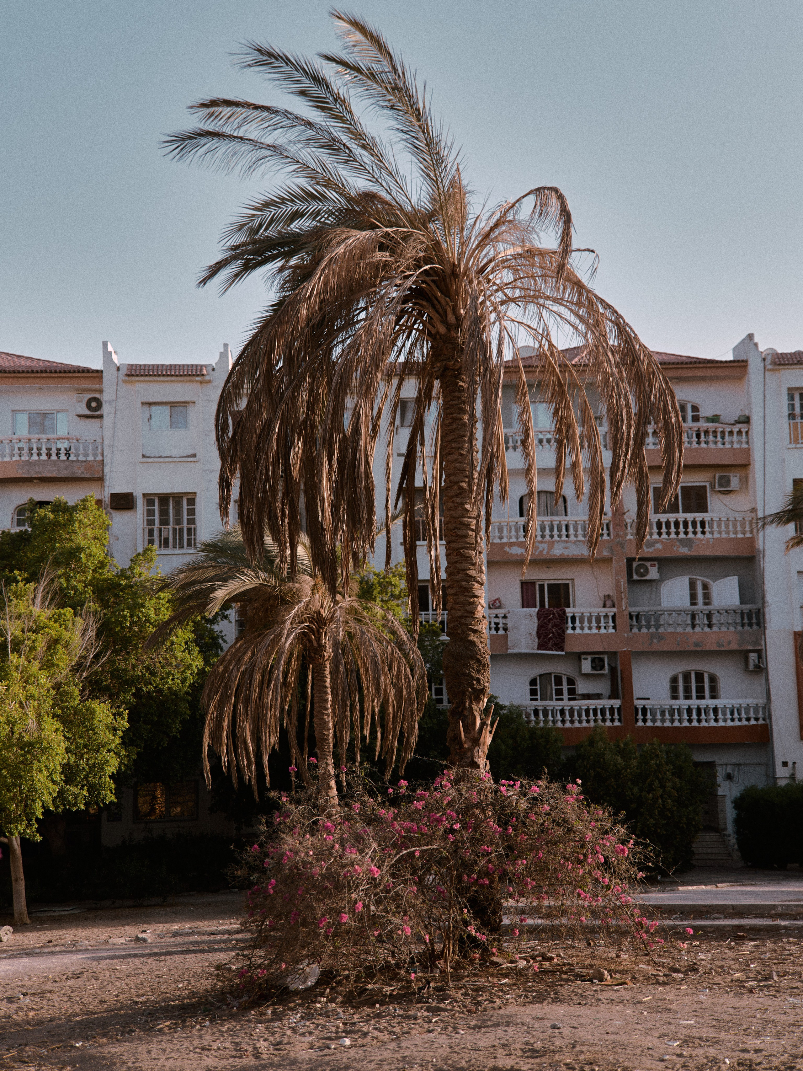 Другое 2. Jorgis Talè — photographer, kind person, teacher of arts and other mag