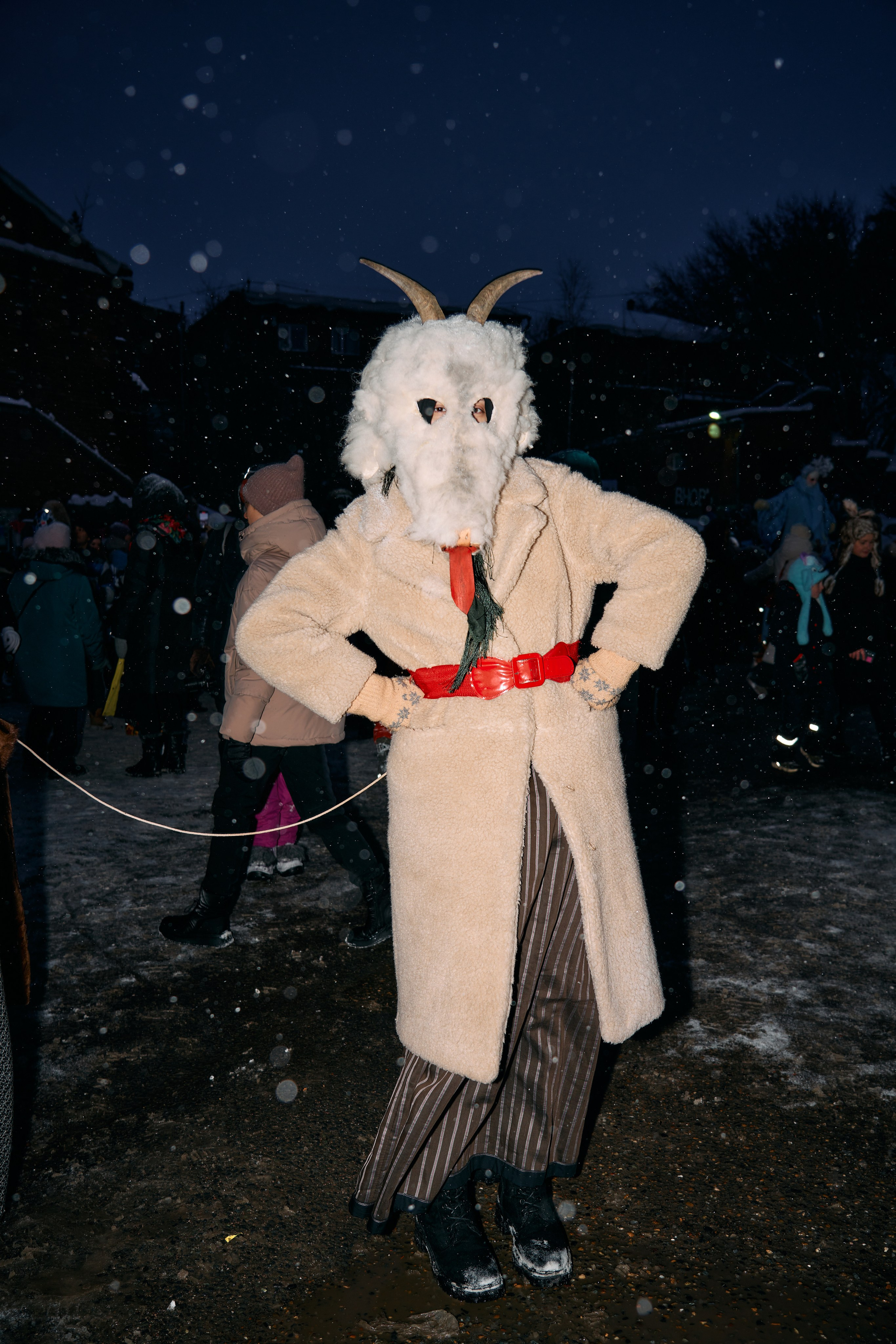 С медведем по соседям. Фотограф