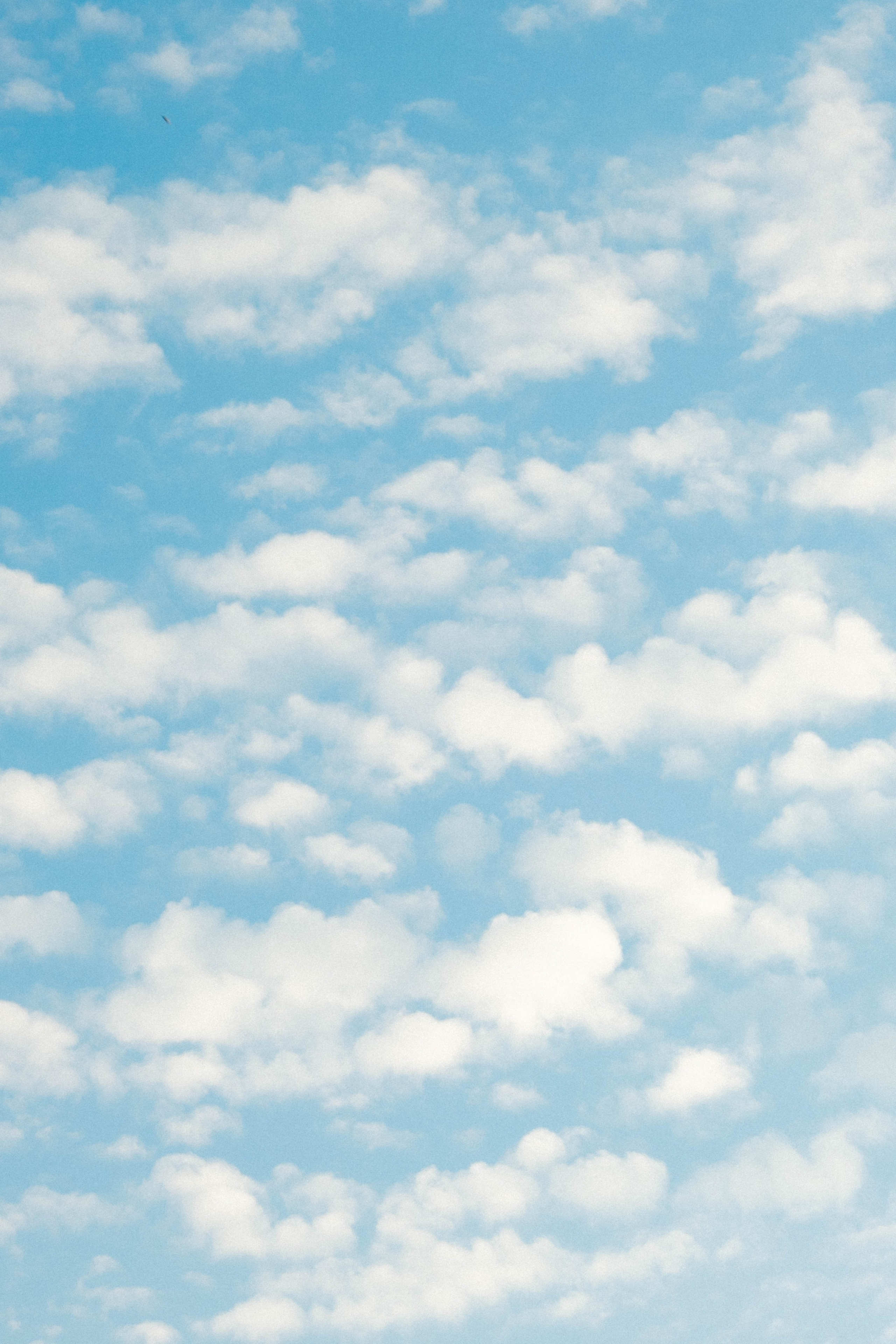 Замечательная повседневность. Контент-фотограф и видеограф в Перми