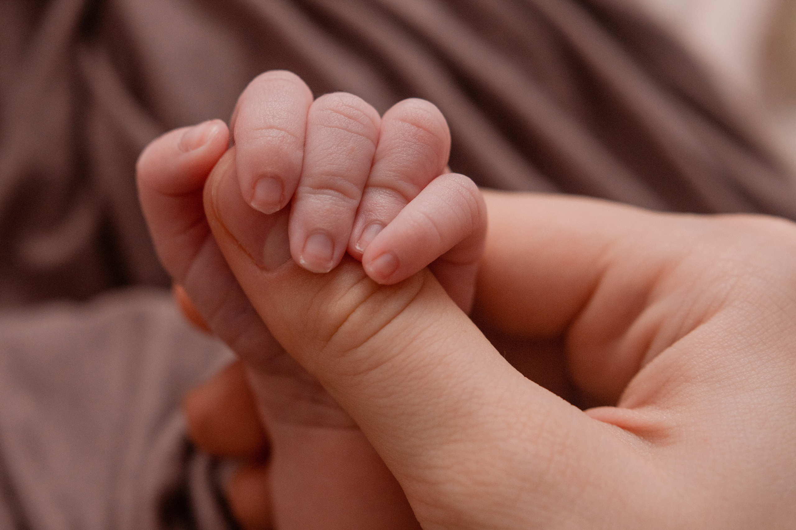 Фотограф в Северском районе| г. Краснодар Алена Заливчая
