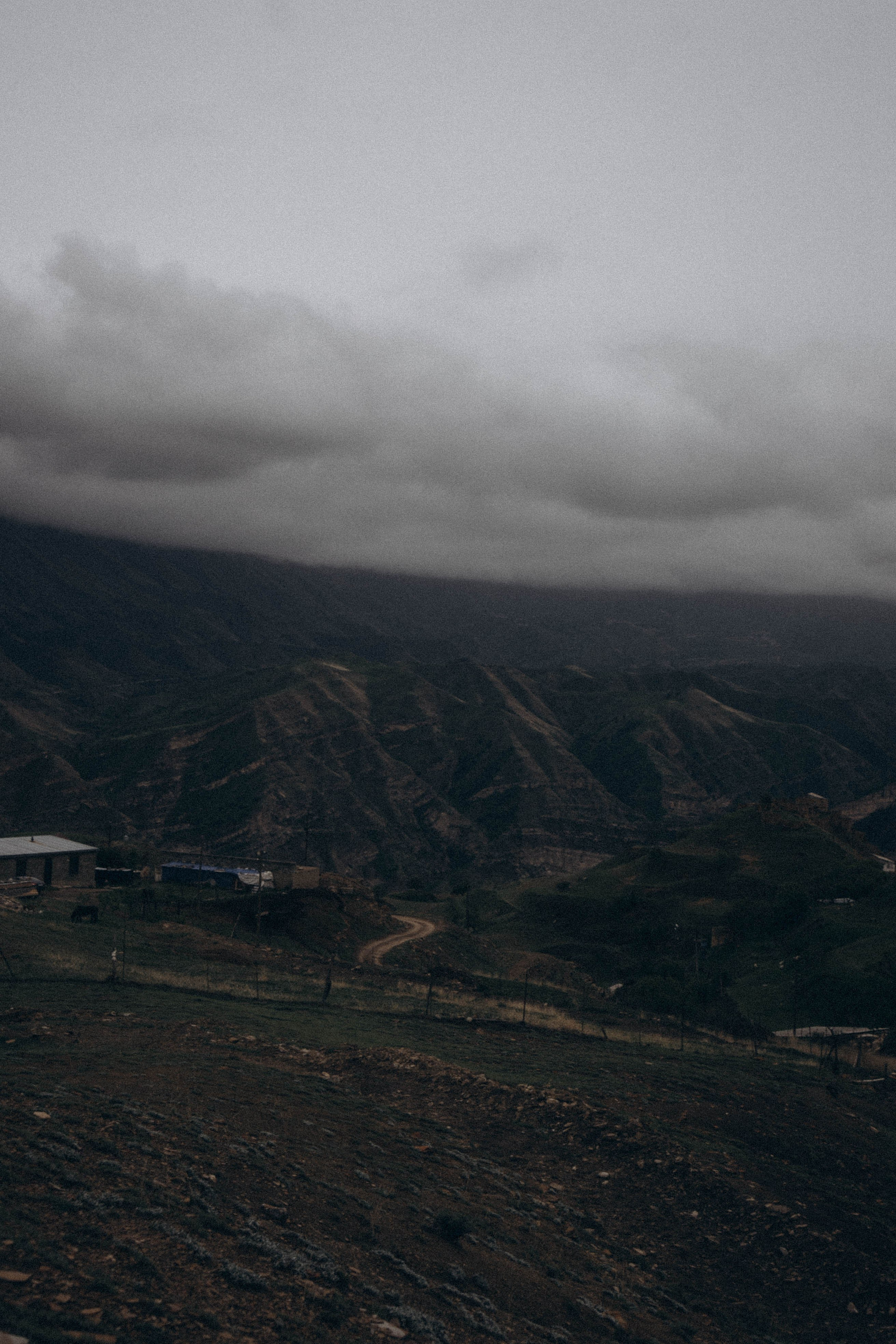Кавказ. Профессиональный фотограф, Санкт-Петербург — Виктория Богомолова
